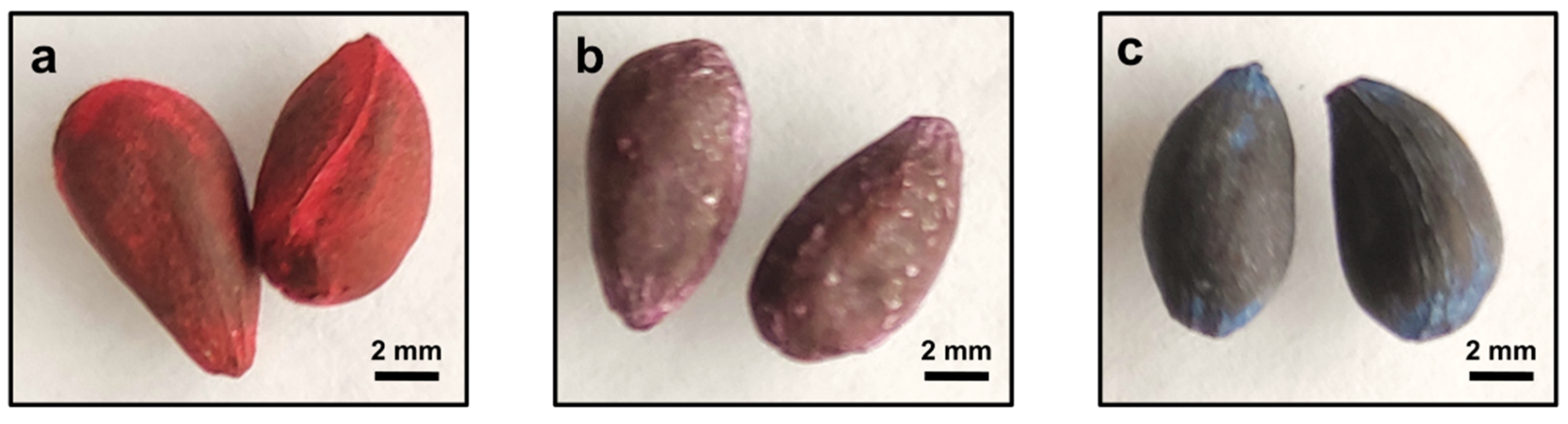 Agriculture 13 00768 g002 Agriculture 13 00768 g002