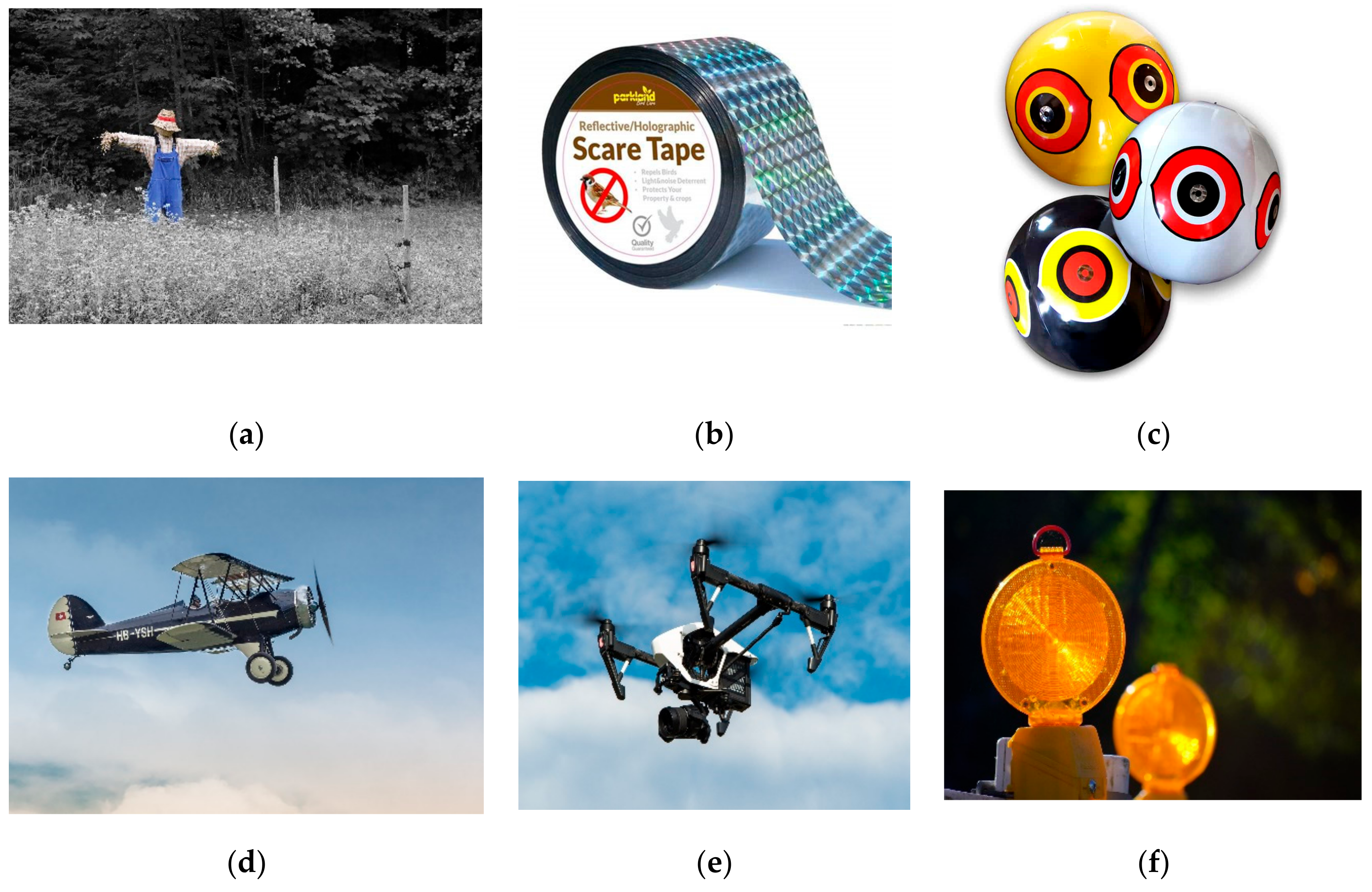 Agriculture 13 00774 g001