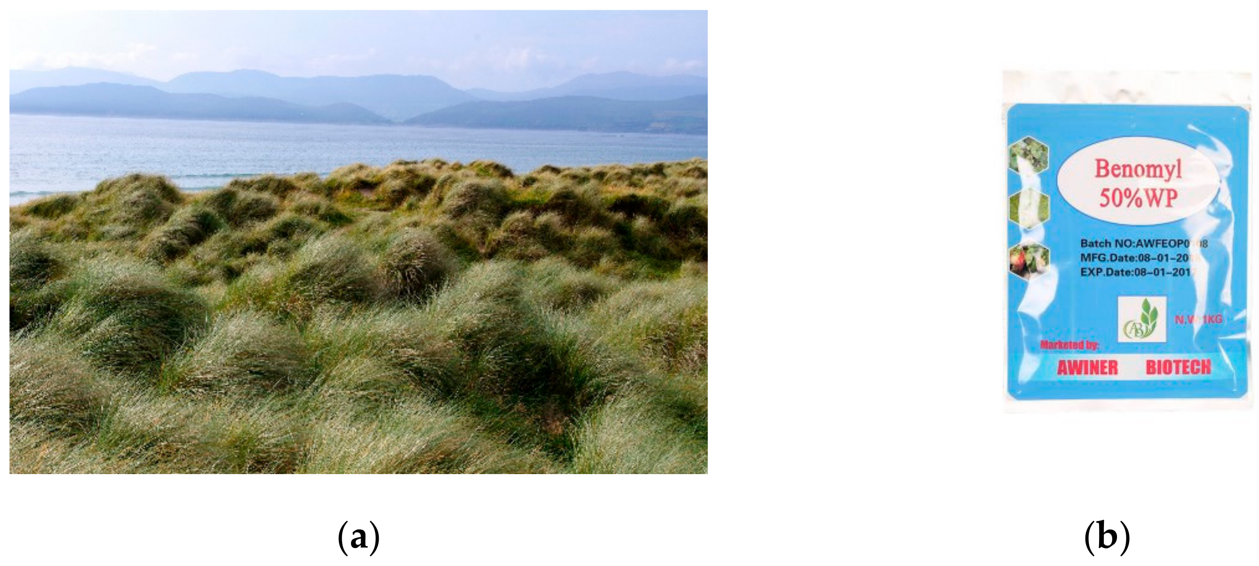 Agriculture 13 00774 g005