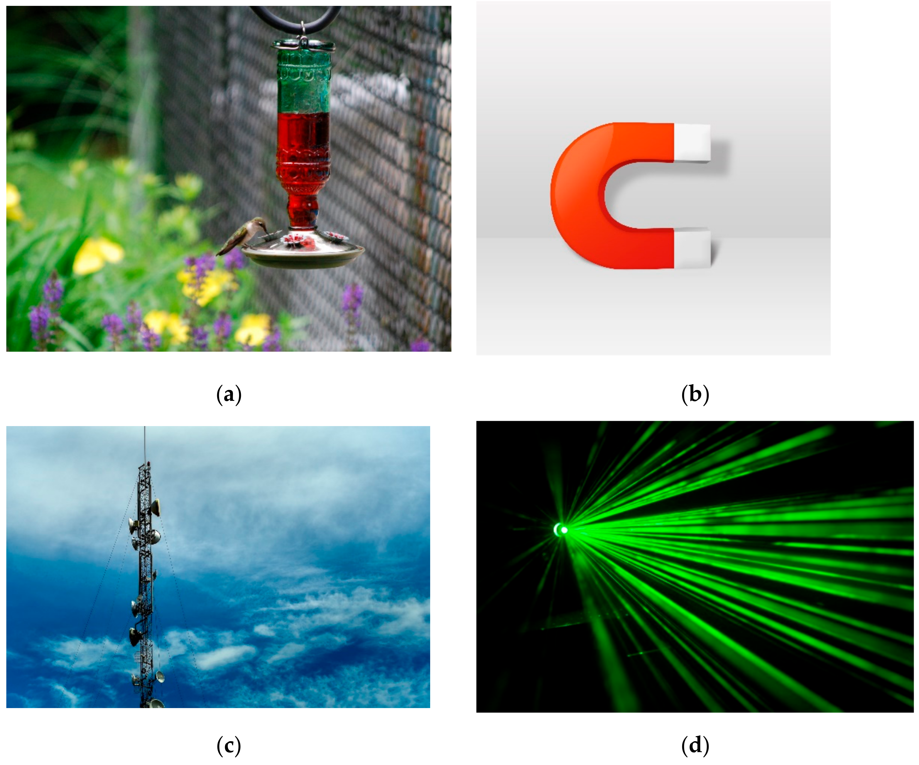 Agriculture 13 00774 g007