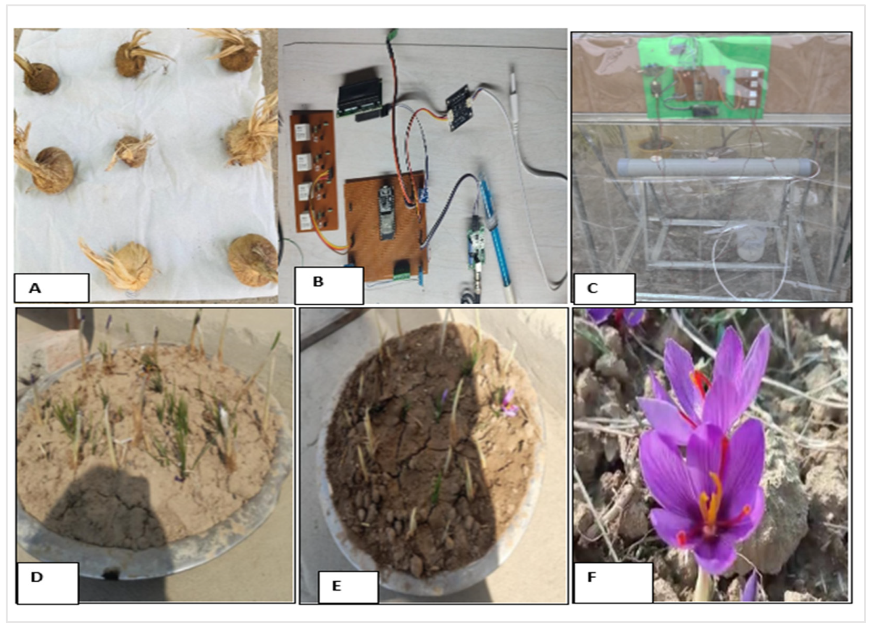 Agriculture 13 00776 g002