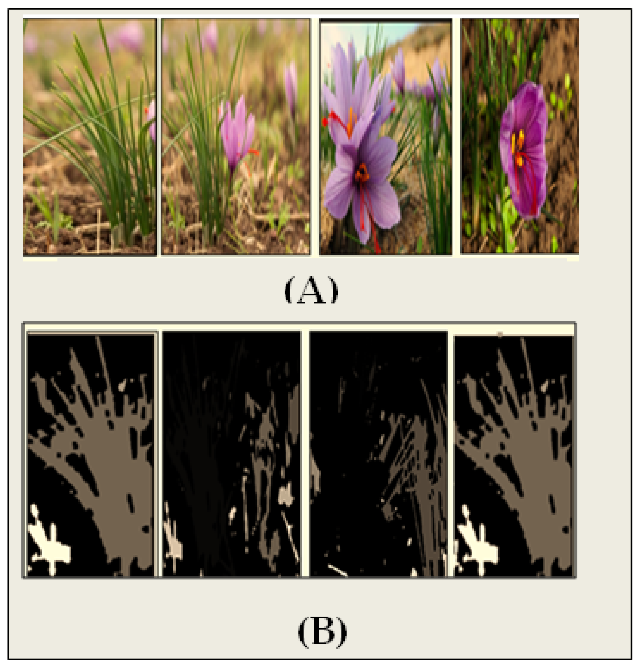 Agriculture 13 00776 g008