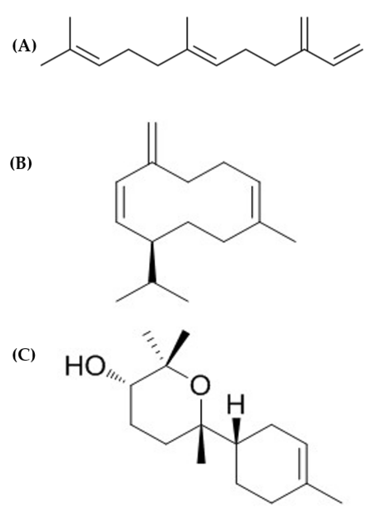 Agriculture 13 00779 g001