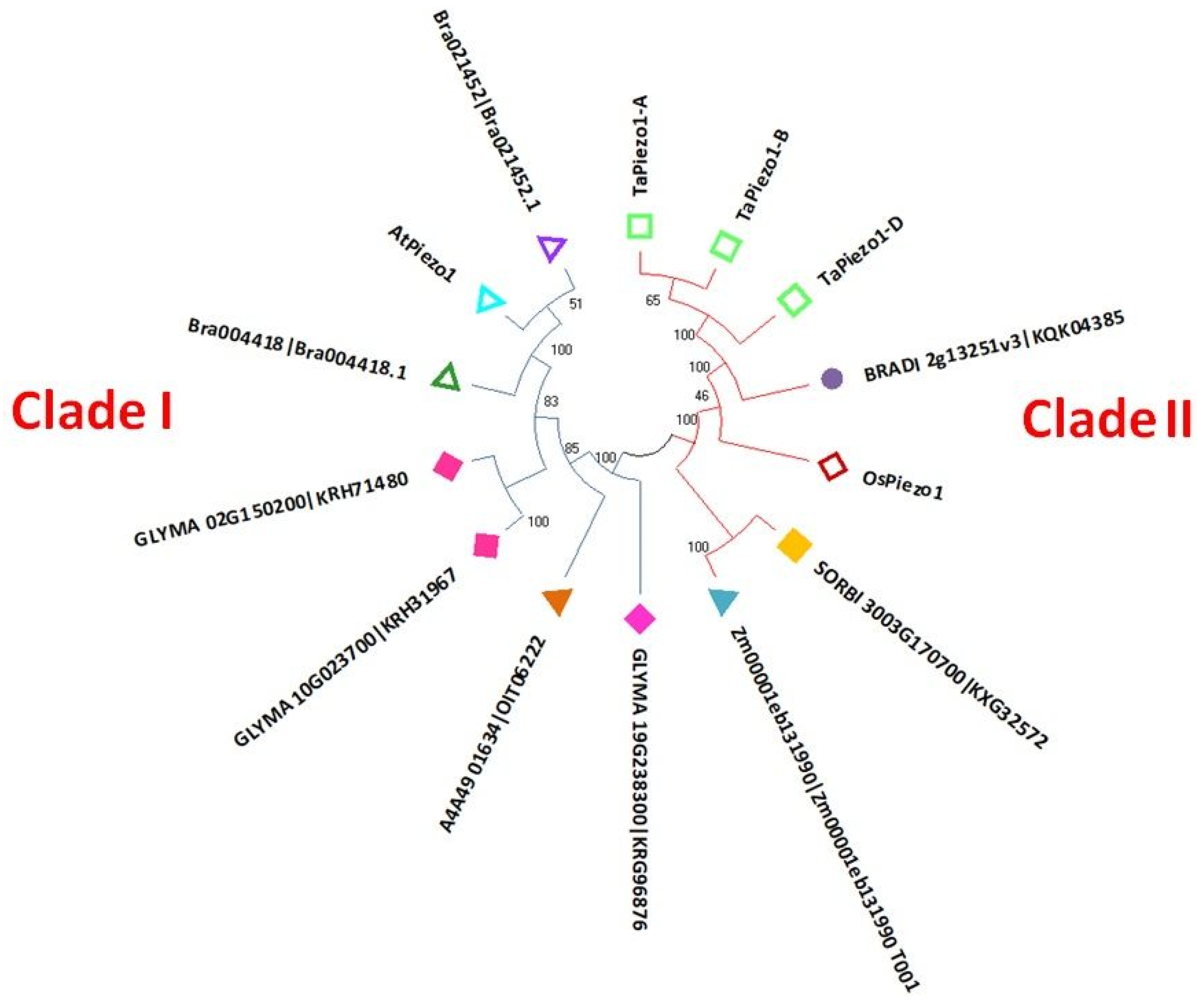 Agriculture 13 00783 g002