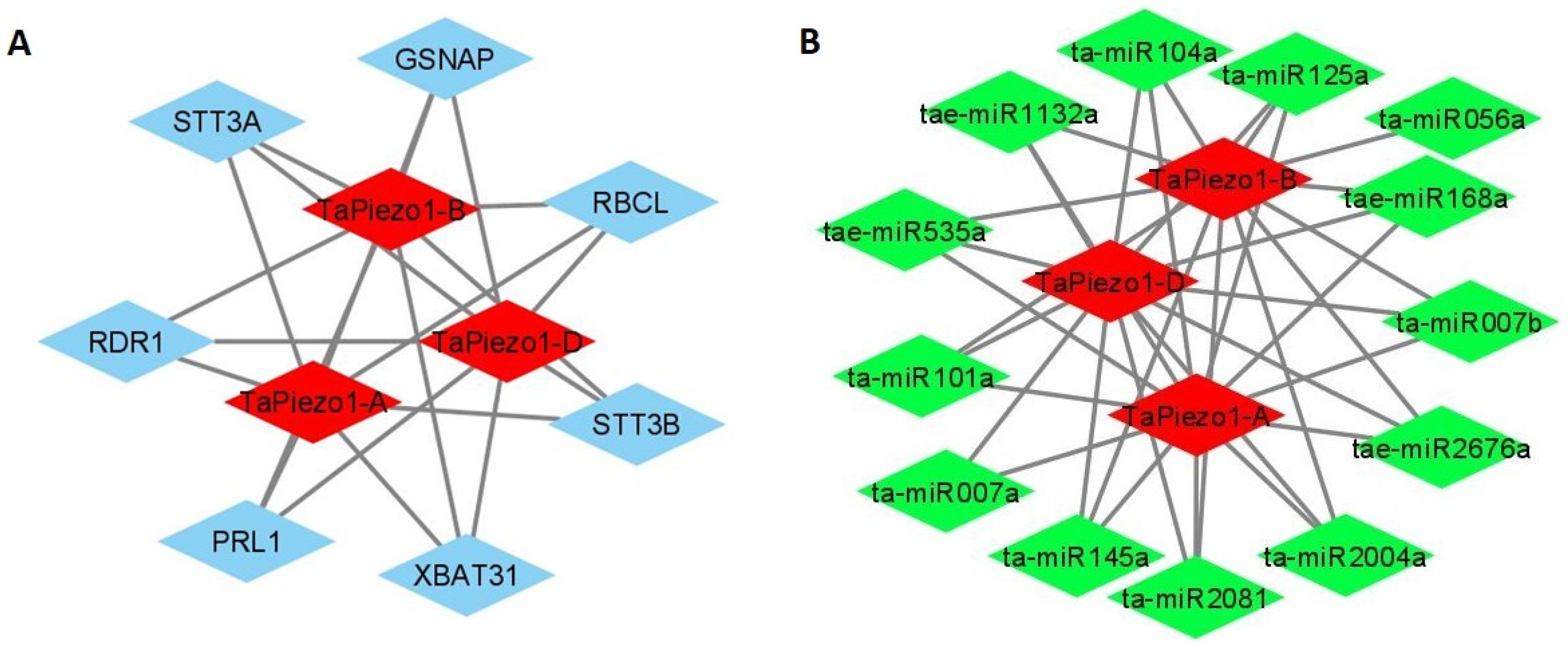 Agriculture 13 00783 g007