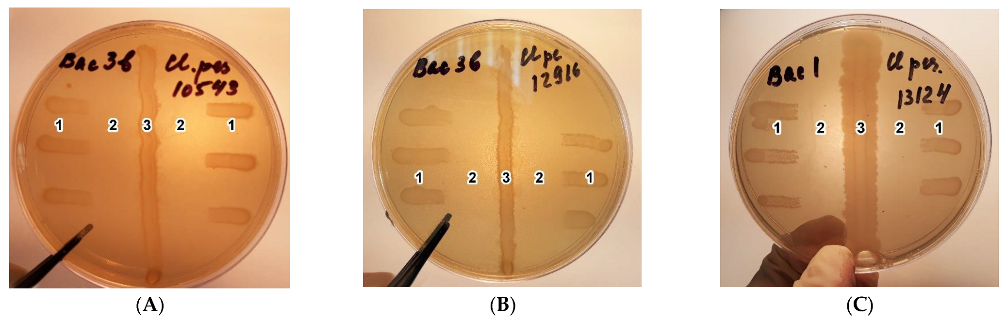 Agriculture 13 00786 g002 Agriculture 13 00786 g002