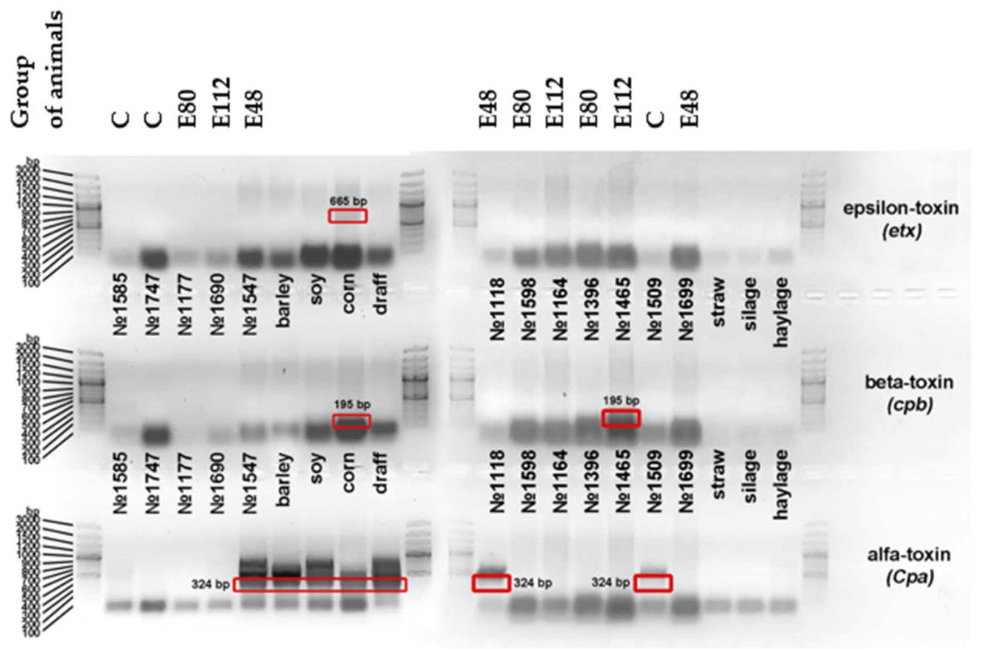 Agriculture 13 00786 g004 Agriculture 13 00786 g004