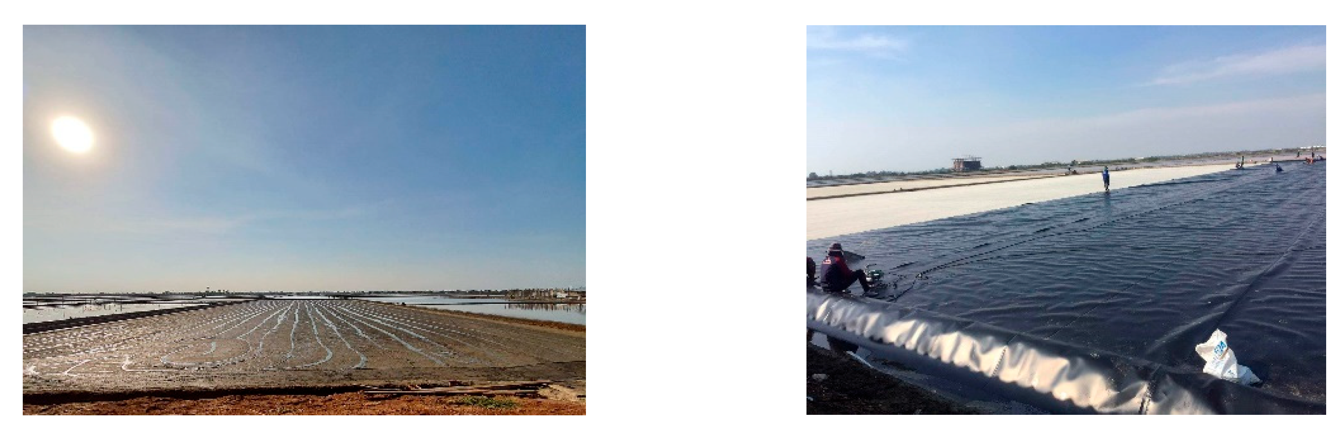 Agriculture 13 00802 g002