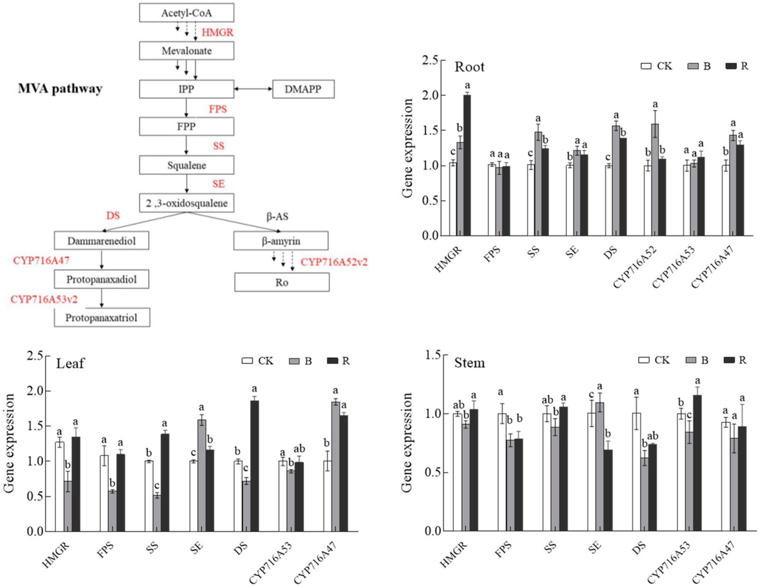 Agriculture 13 00807 g010