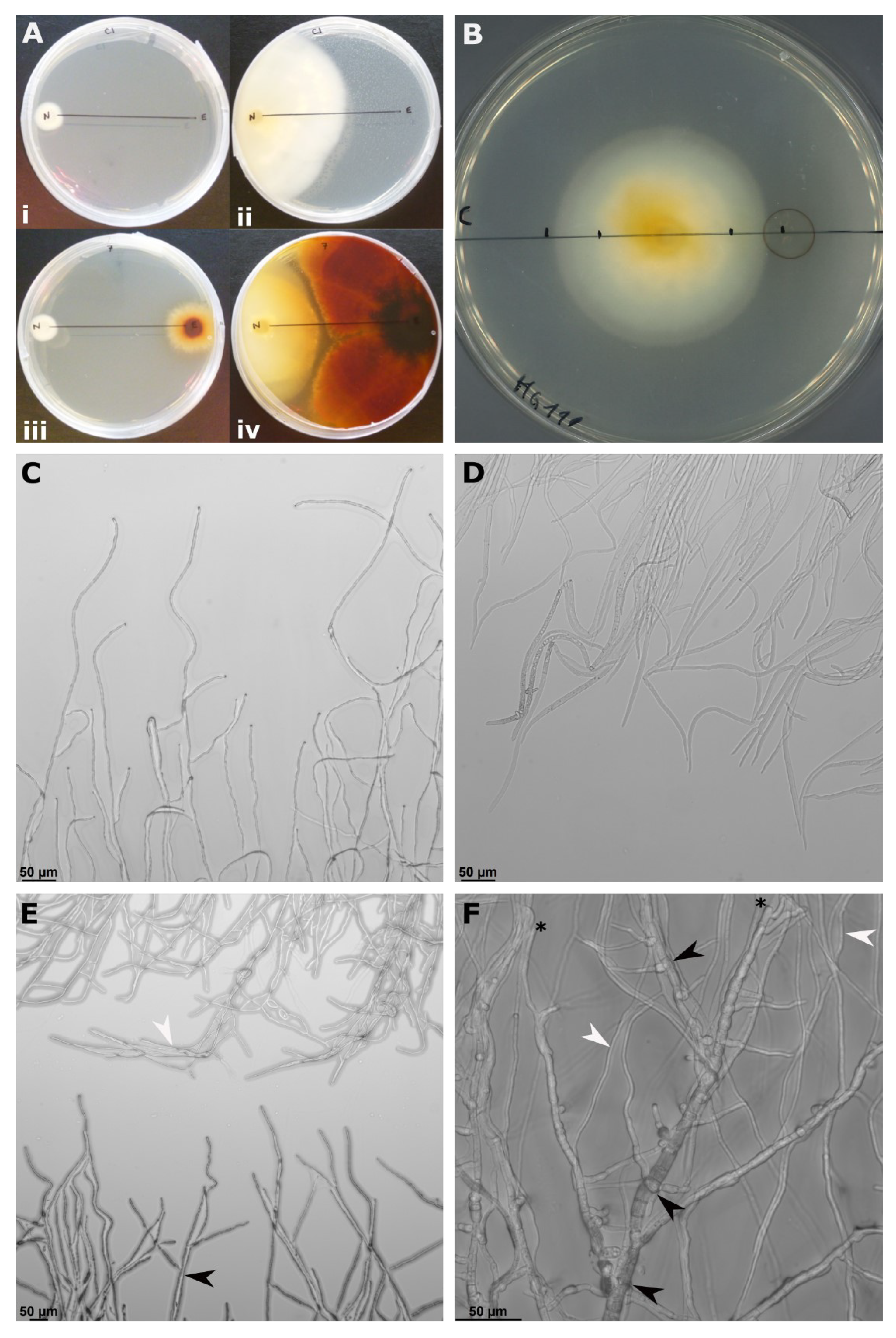 Agriculture 13 00809 g002 Agriculture 13 00809 g002