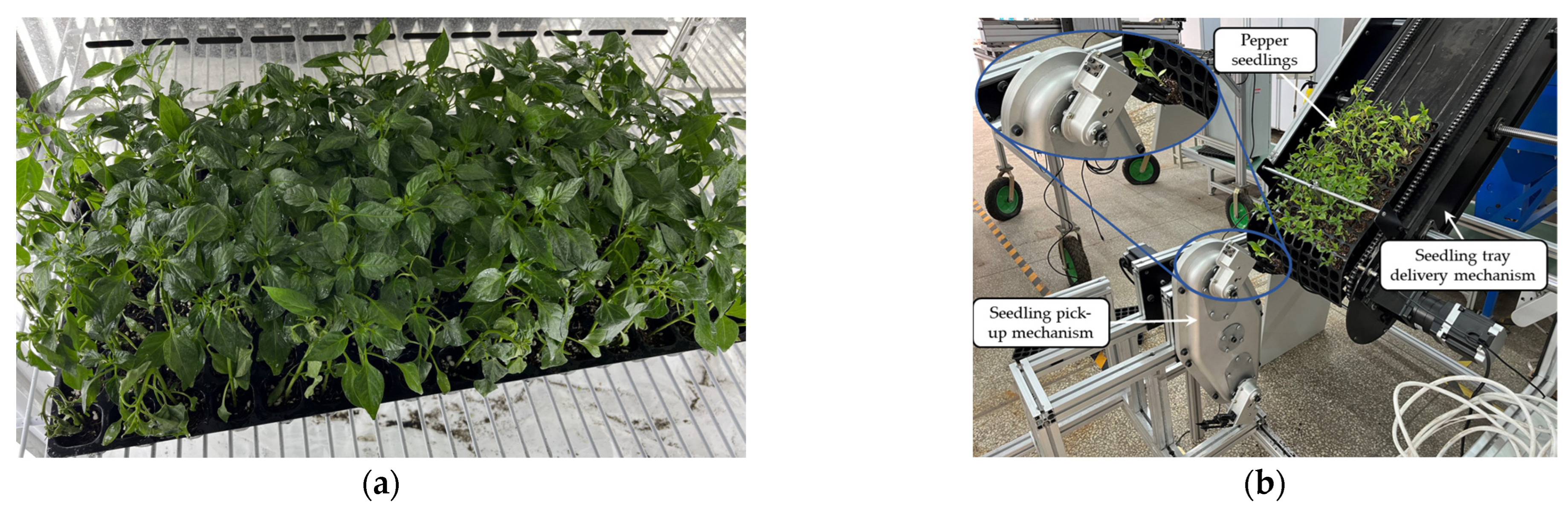 Agriculture 13 00810 g013