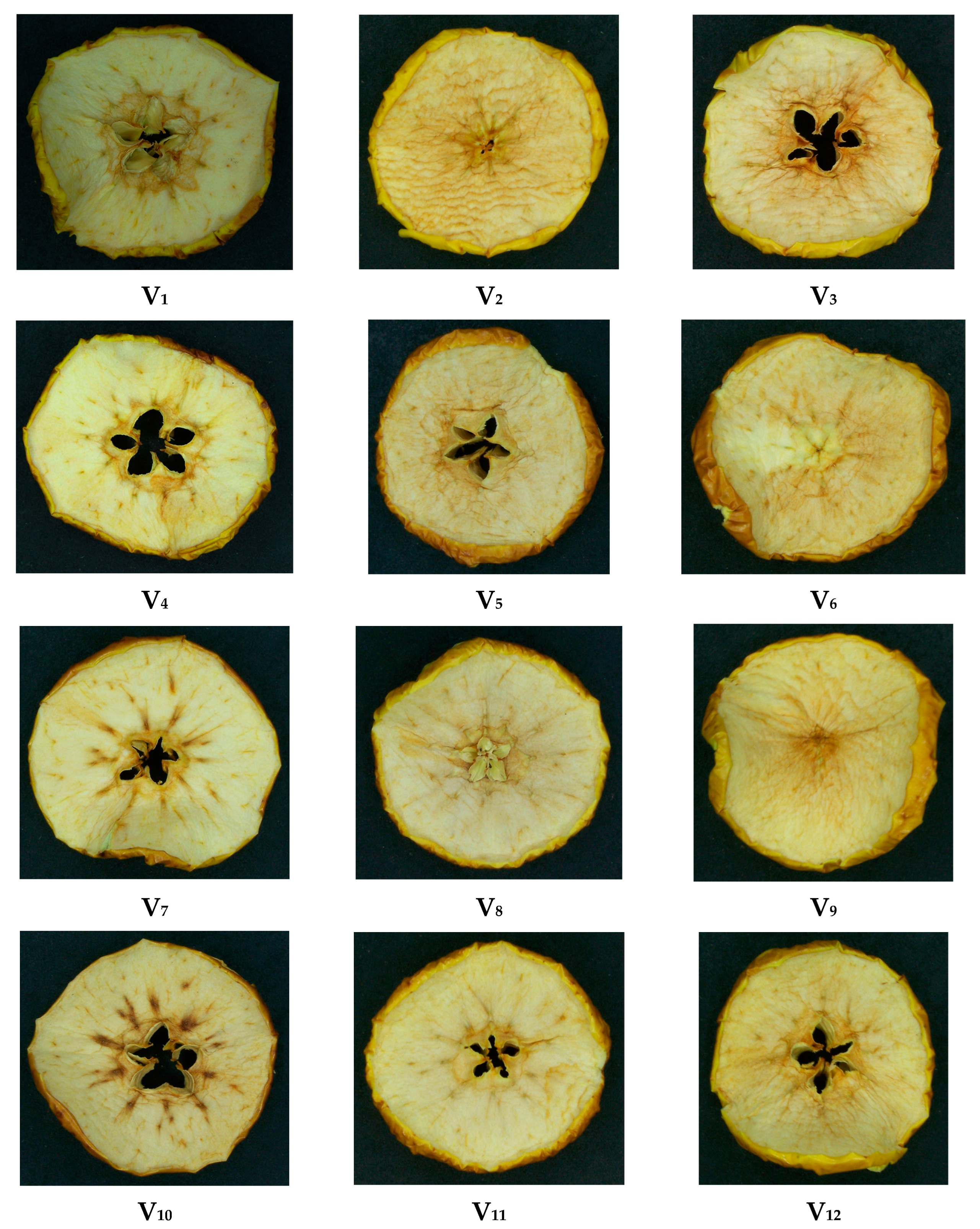 Agriculture 13 00820 g008