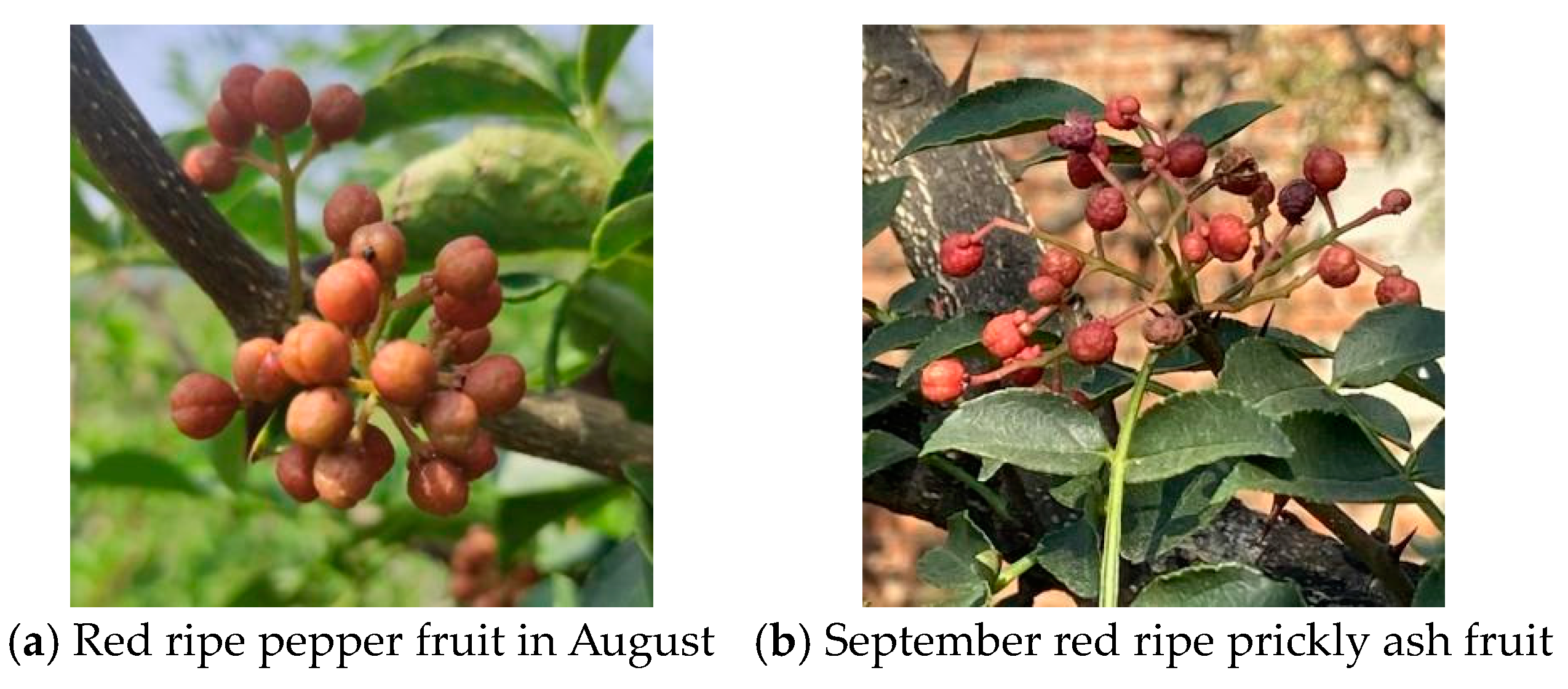 Agriculture 13 00821 g016