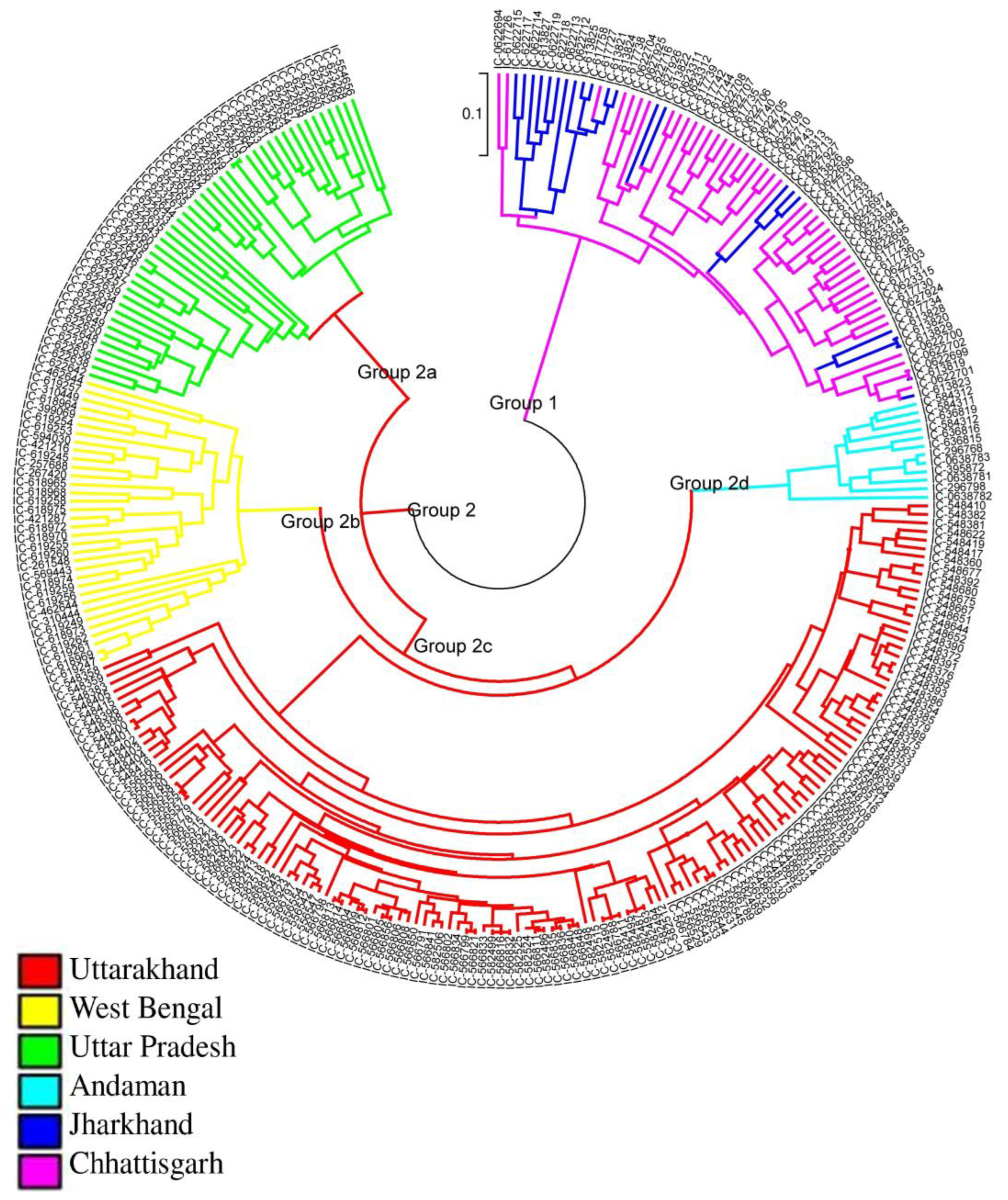 Agriculture 13 00823 g002