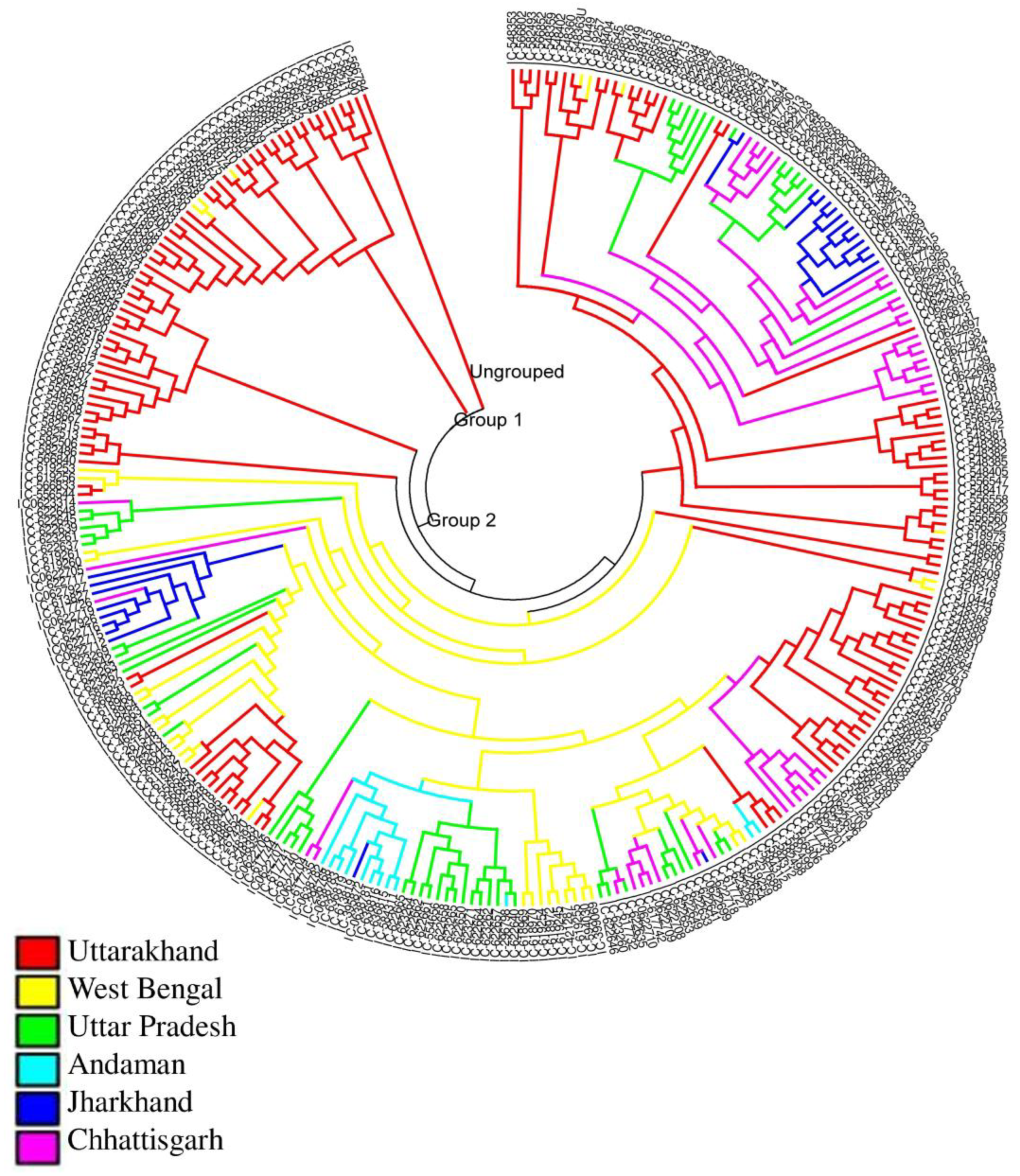 Agriculture 13 00823 g003