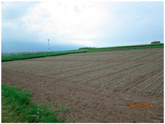 Agriculture 13 00825 g0a2