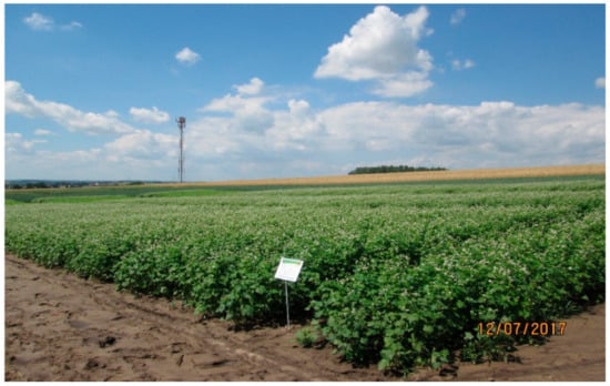 Agriculture 13 00825 g0a3