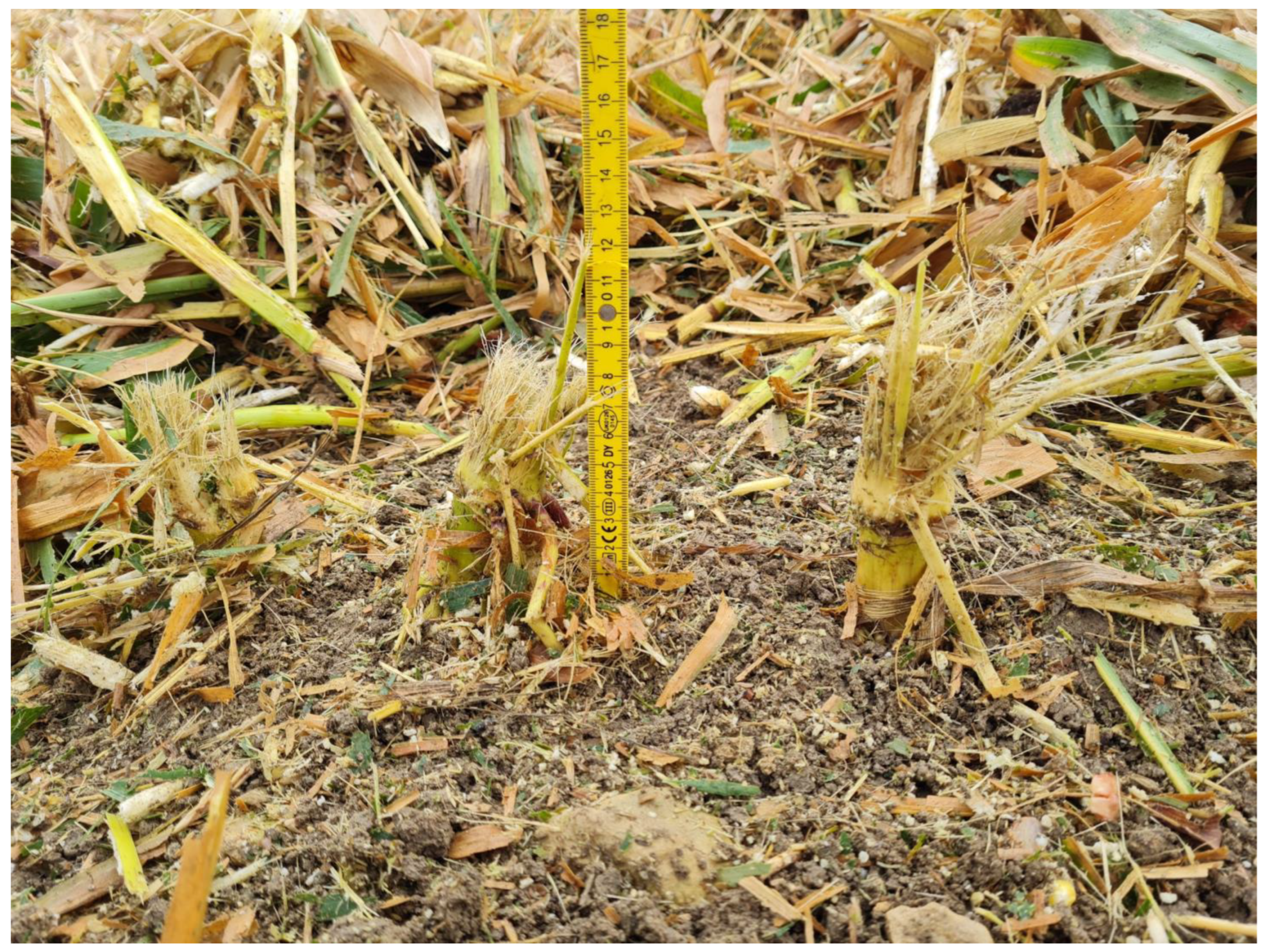 Agriculture 13 00833 g0a3 Agriculture 13 00833 g0a3