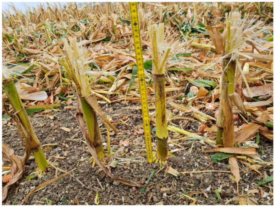 Agriculture 13 00833 g0a5