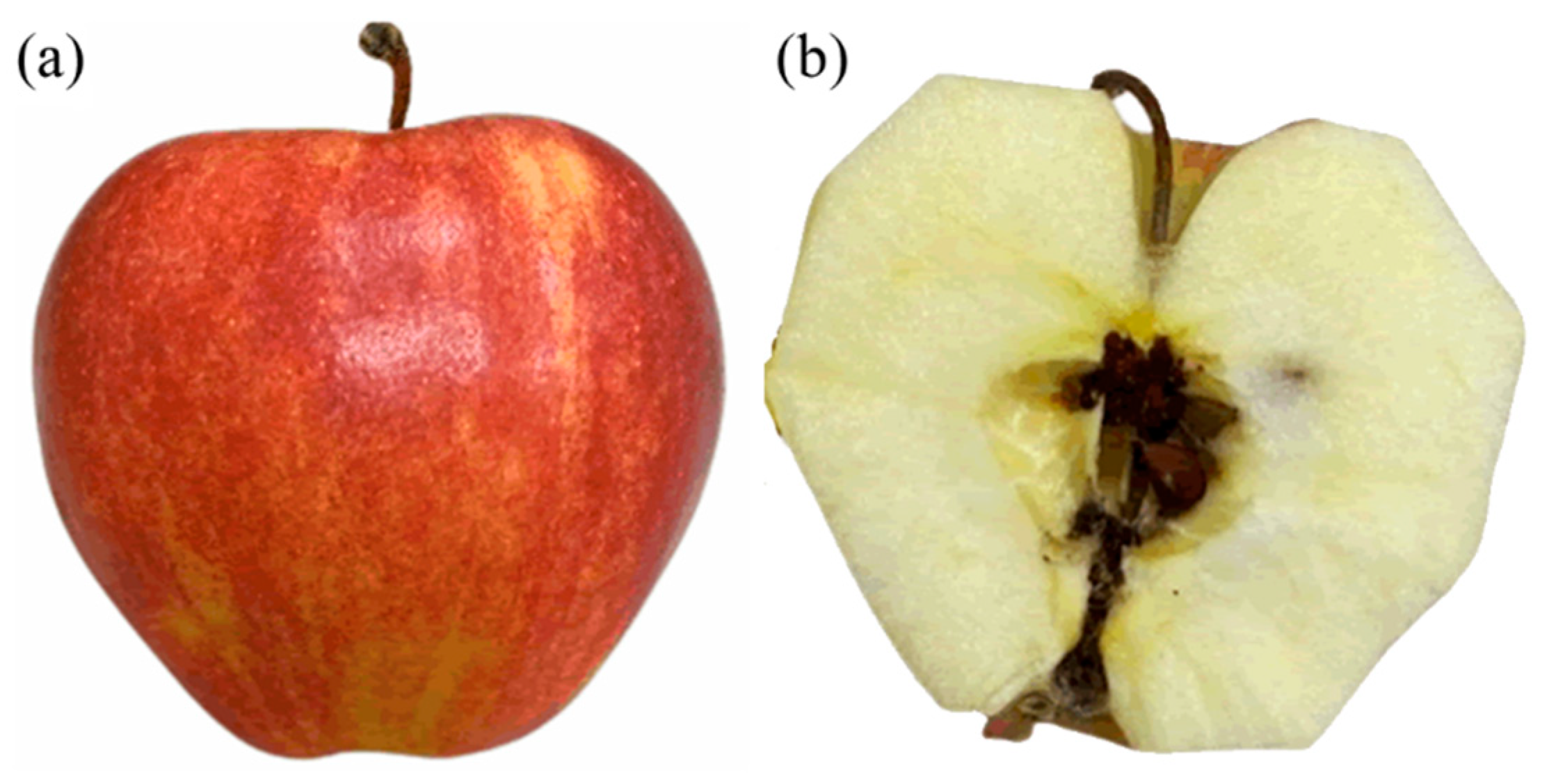 Agriculture 13 00839 g001