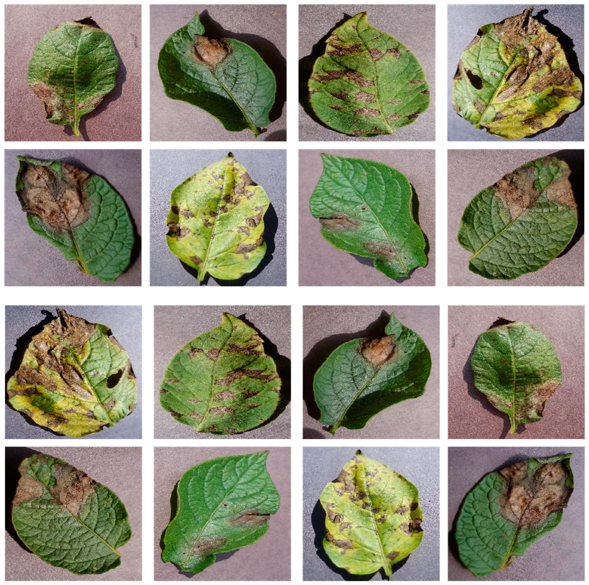 Agriculture 13 00841 g003