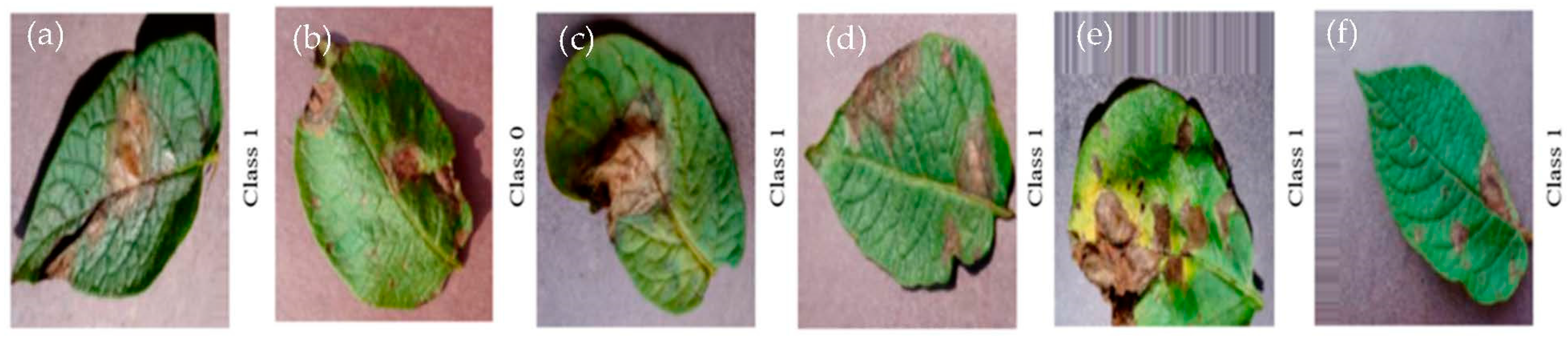 Agriculture 13 00841 g004