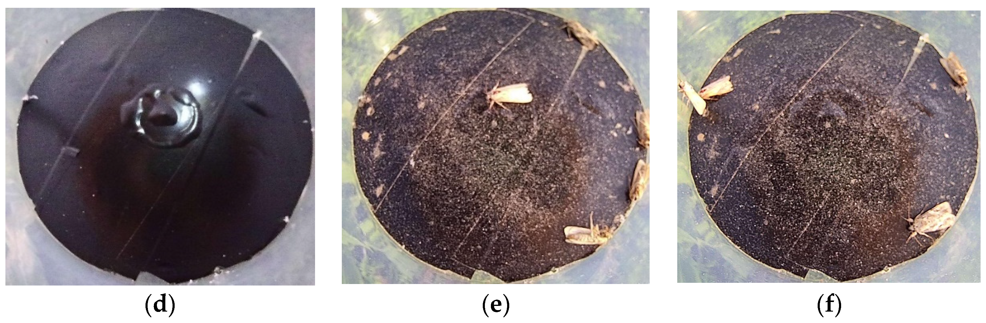 Agriculture 13 00843 g008b