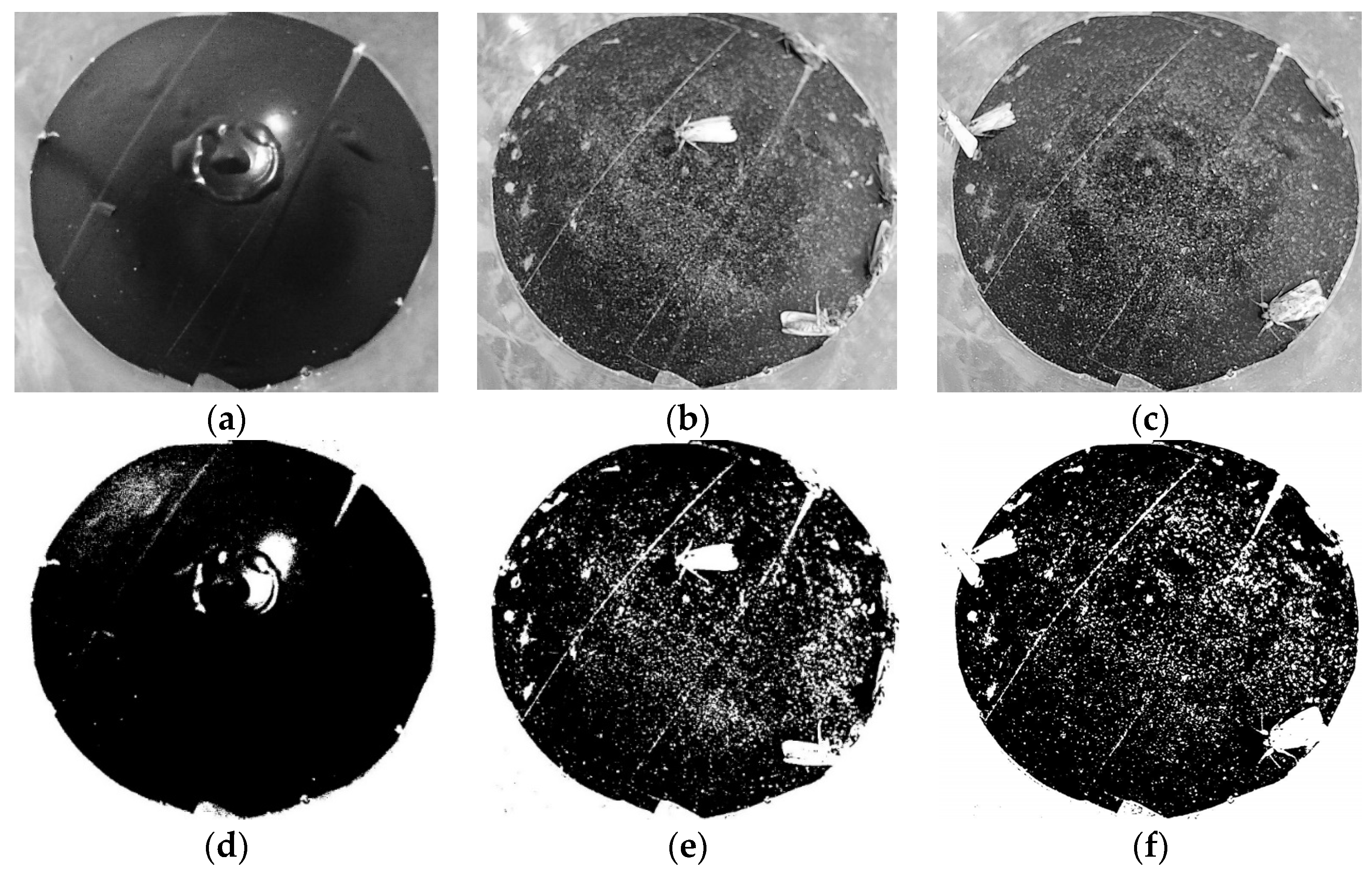 Agriculture 13 00843 g009