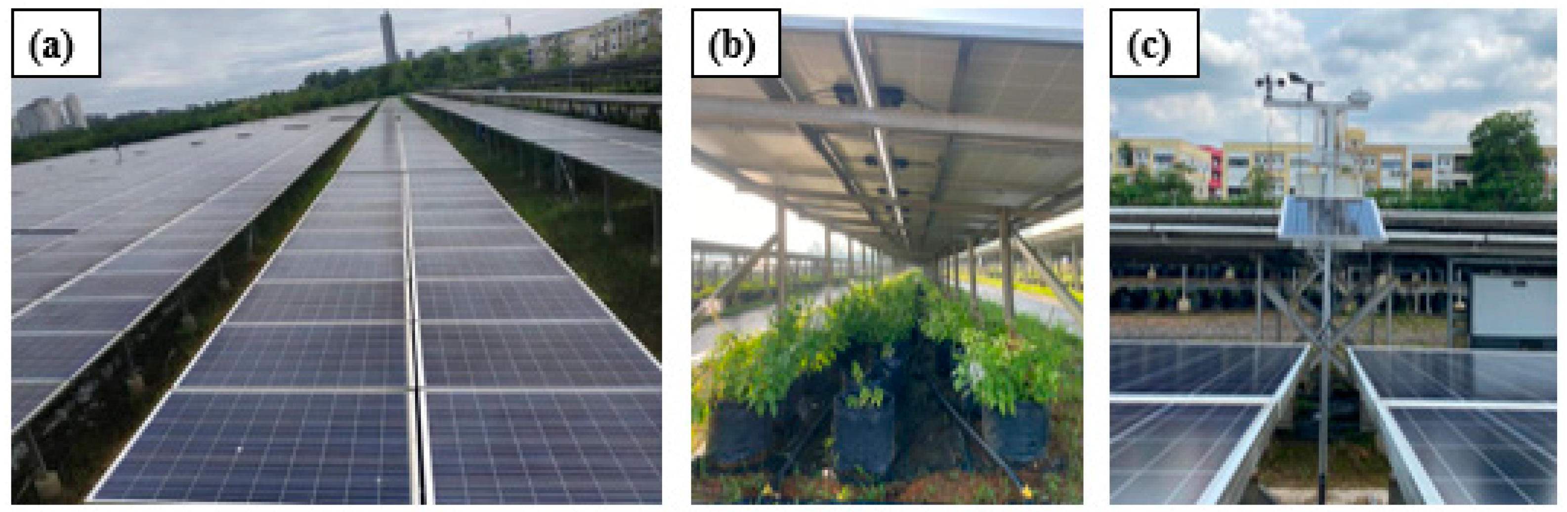 Agriculture 13 00854 g006