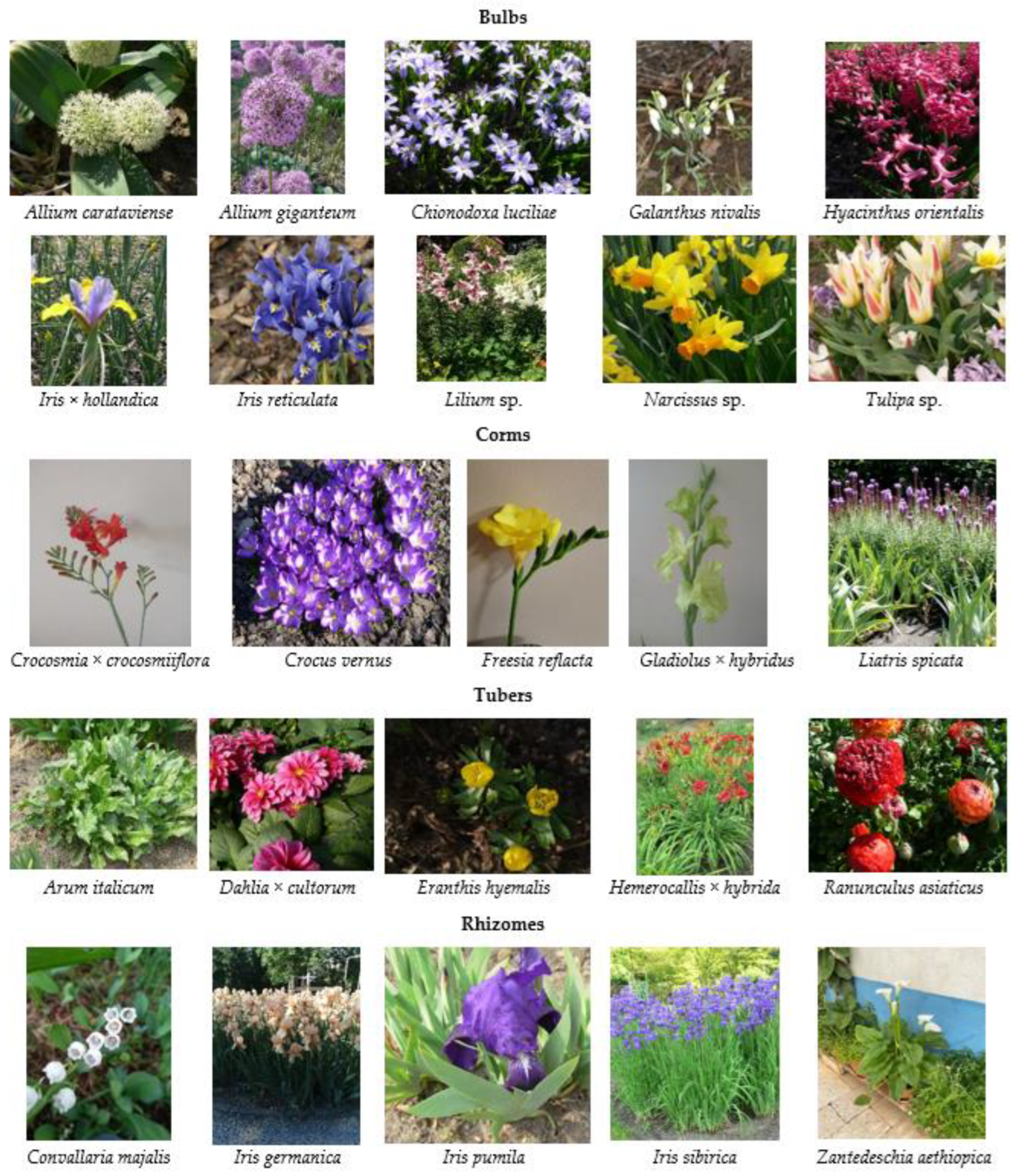 Agriculture 13 00855 g002