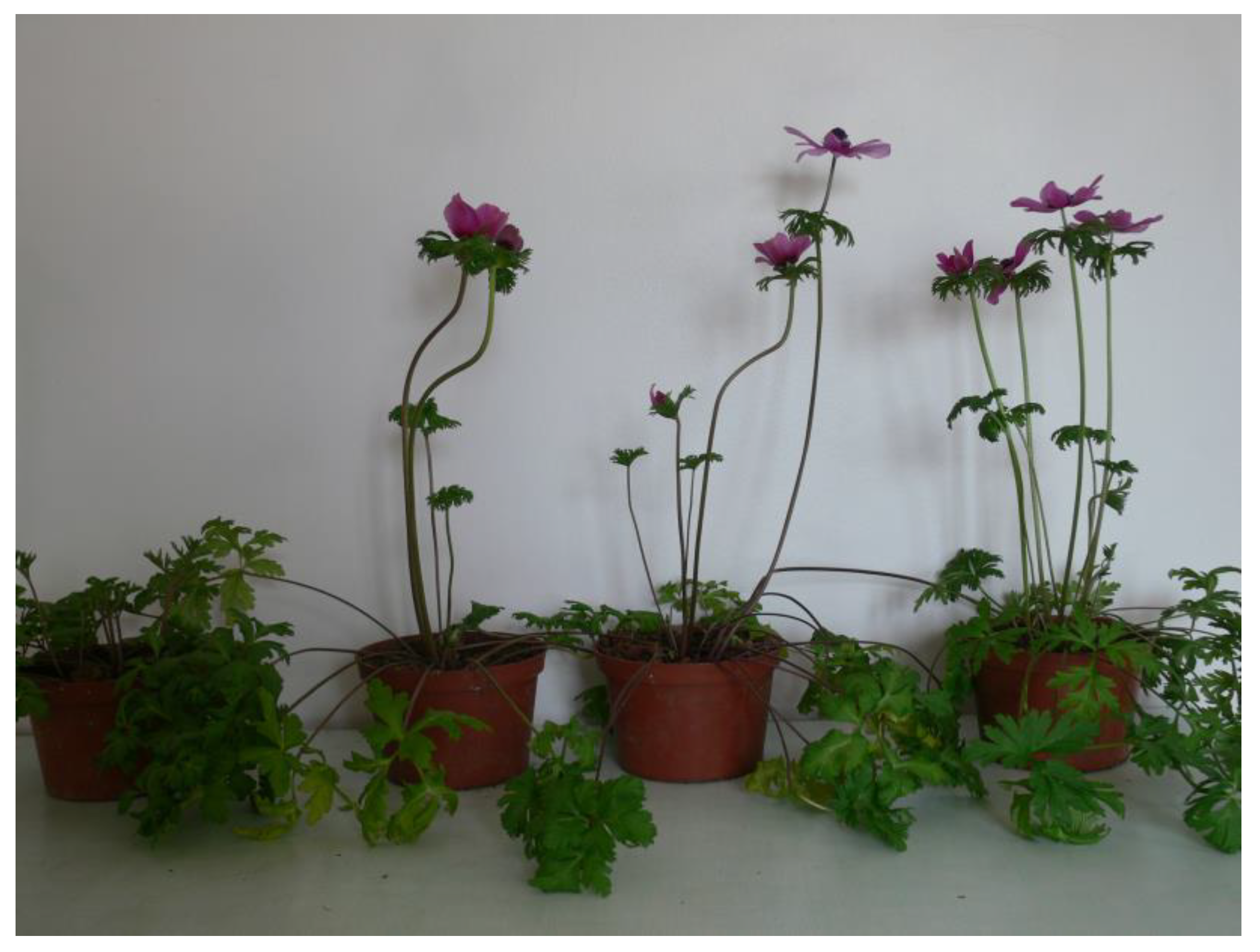 Agriculture 13 00855 g003