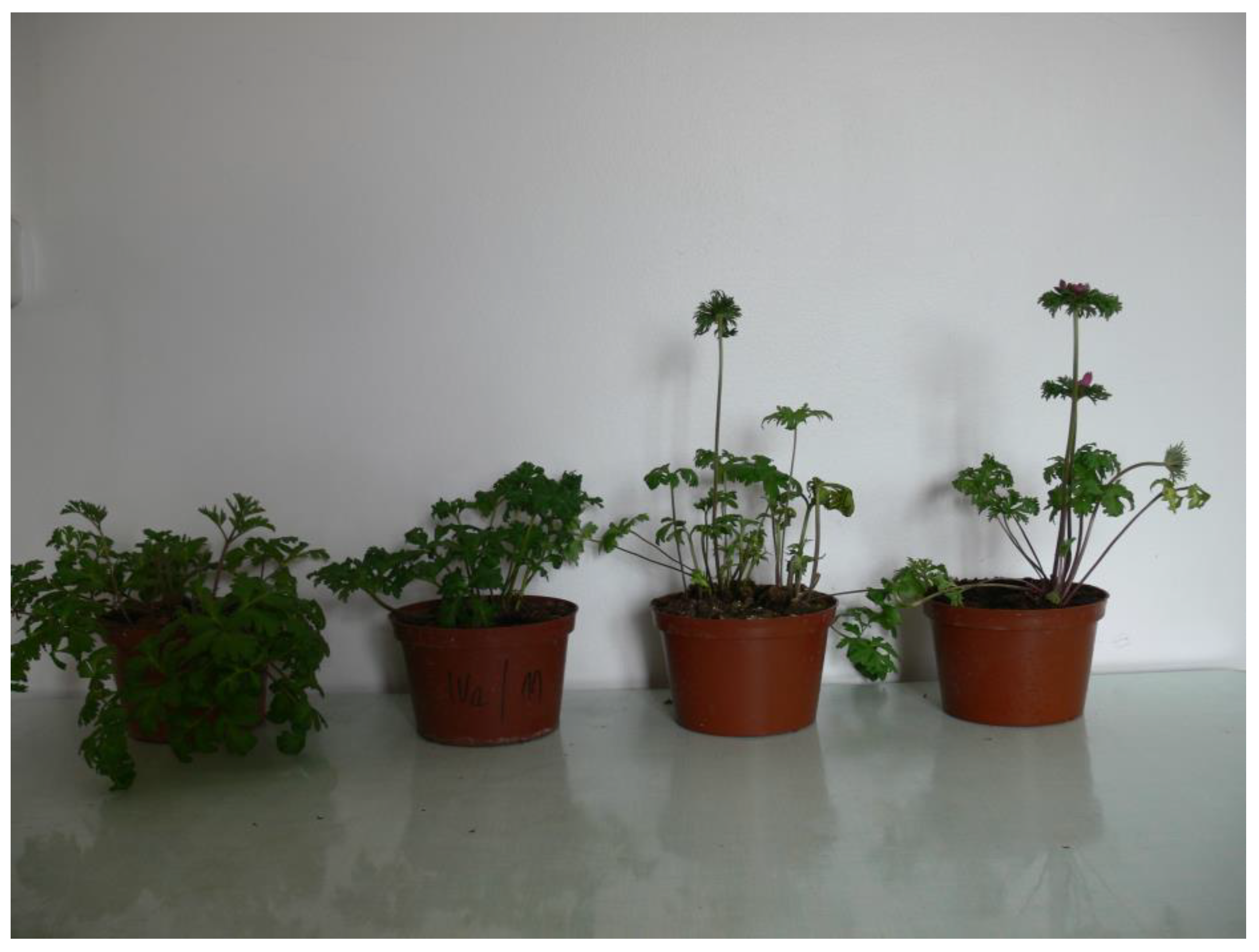 Agriculture 13 00855 g004