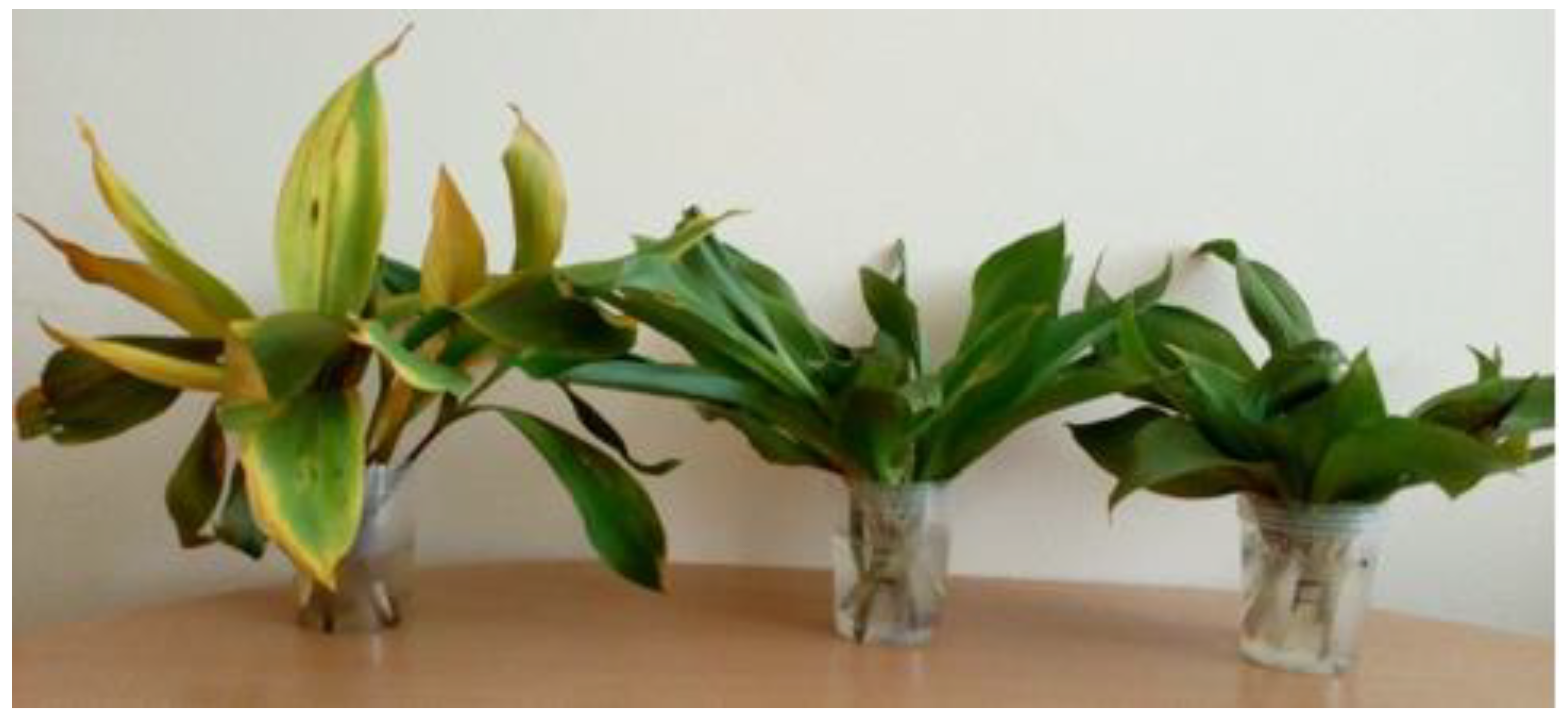 Agriculture 13 00855 g005