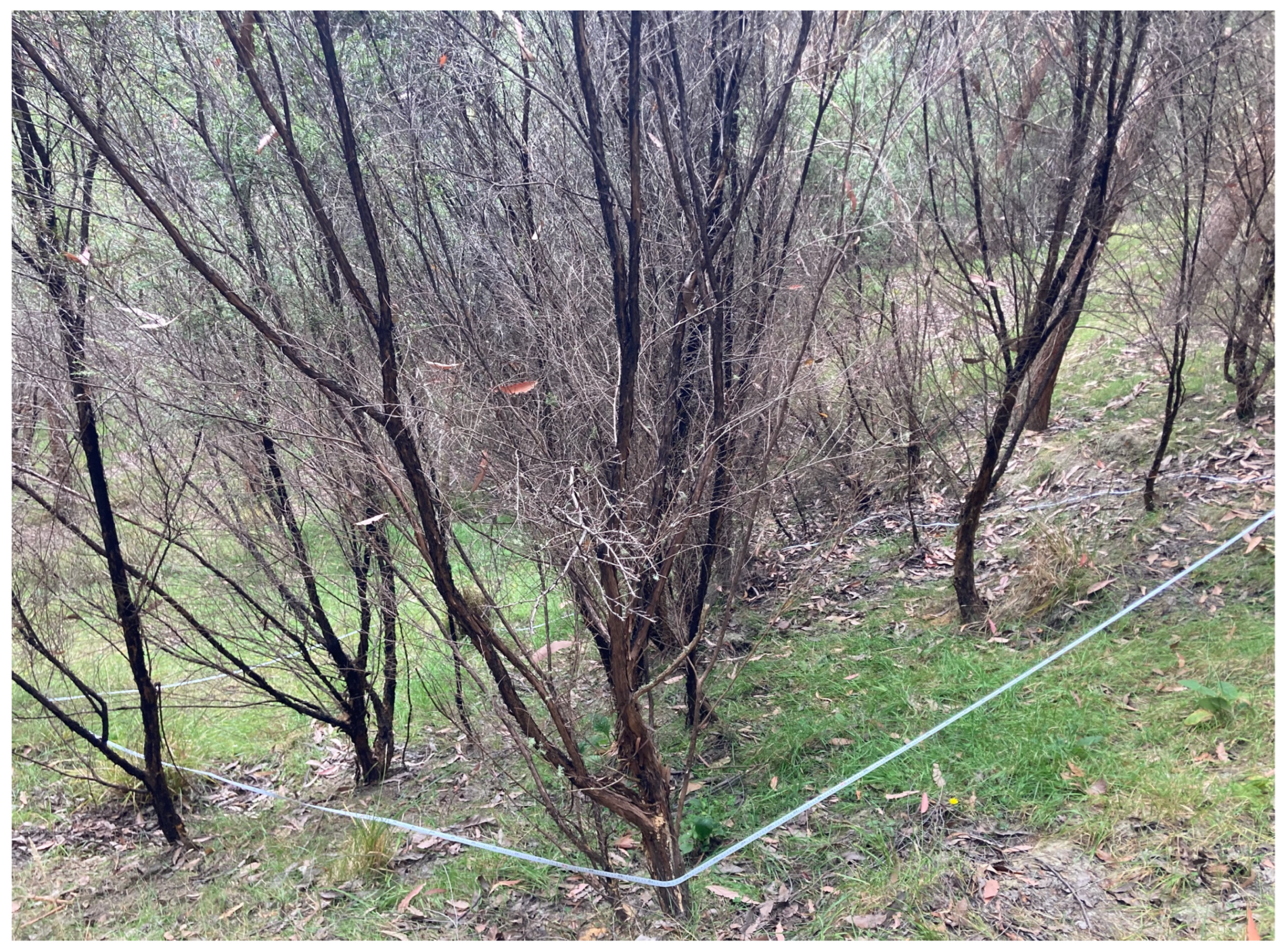 Agriculture 13 00856 g002