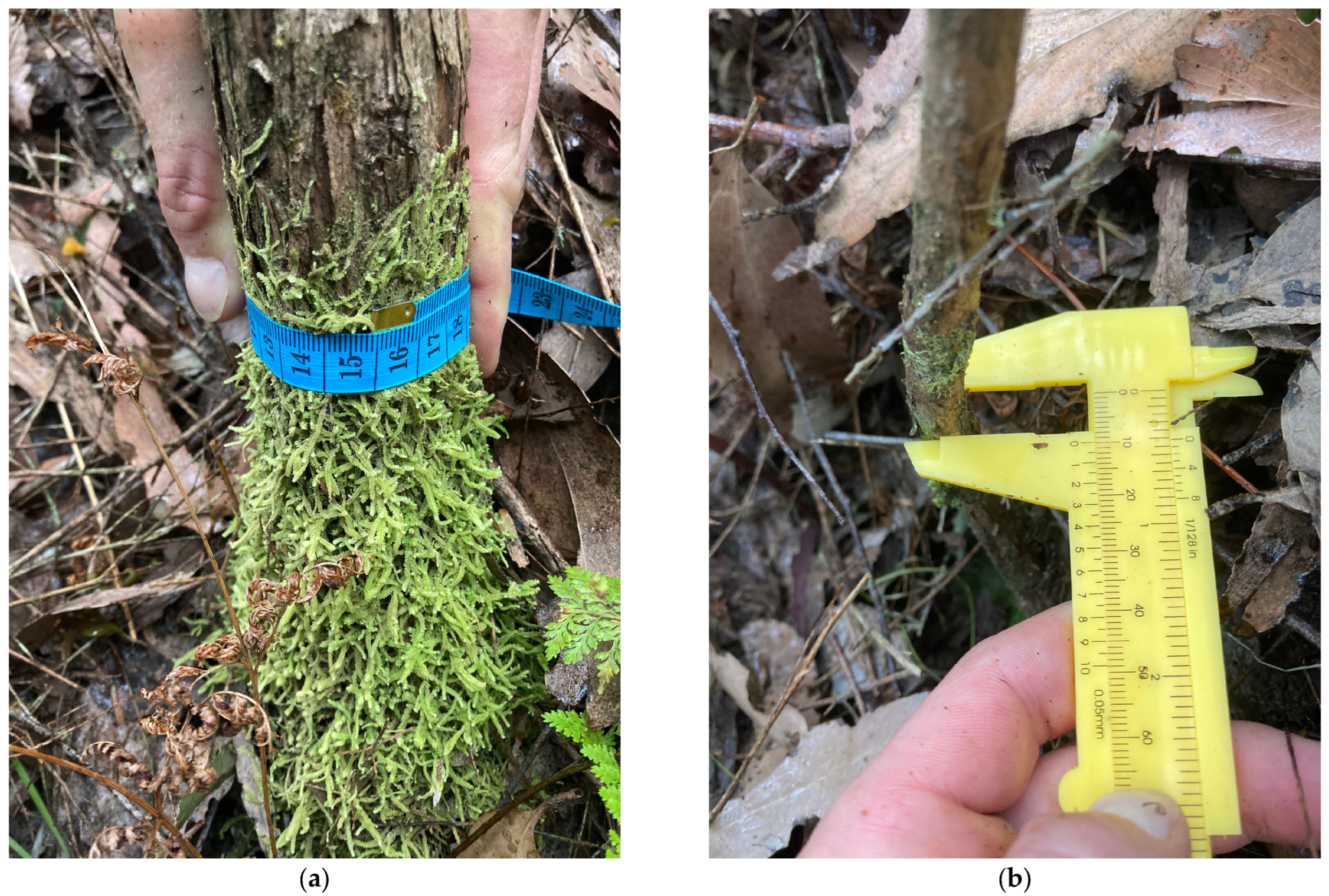 Agriculture 13 00856 g003