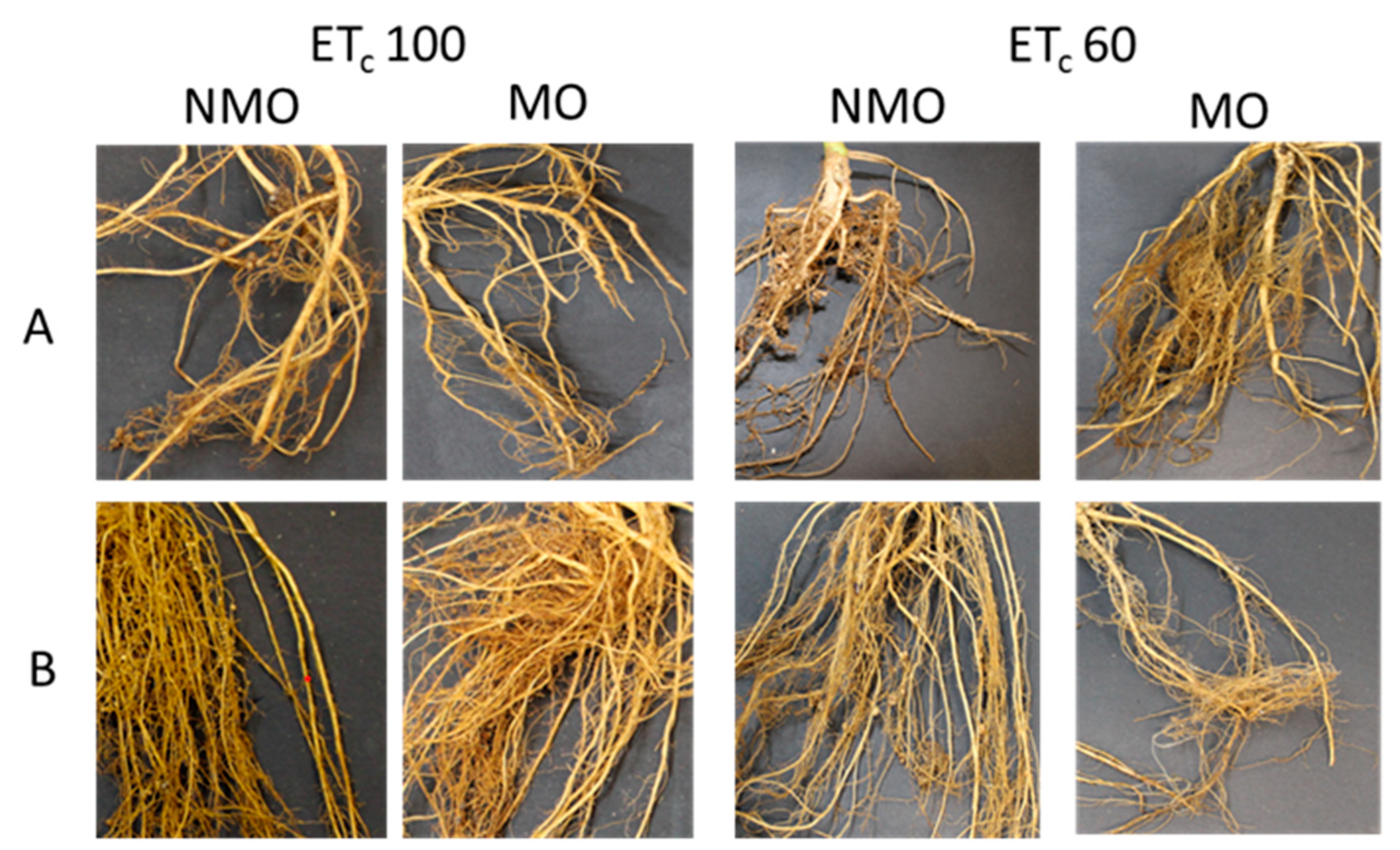 Agriculture 13 00865 g004 Agriculture 13 00865 g004