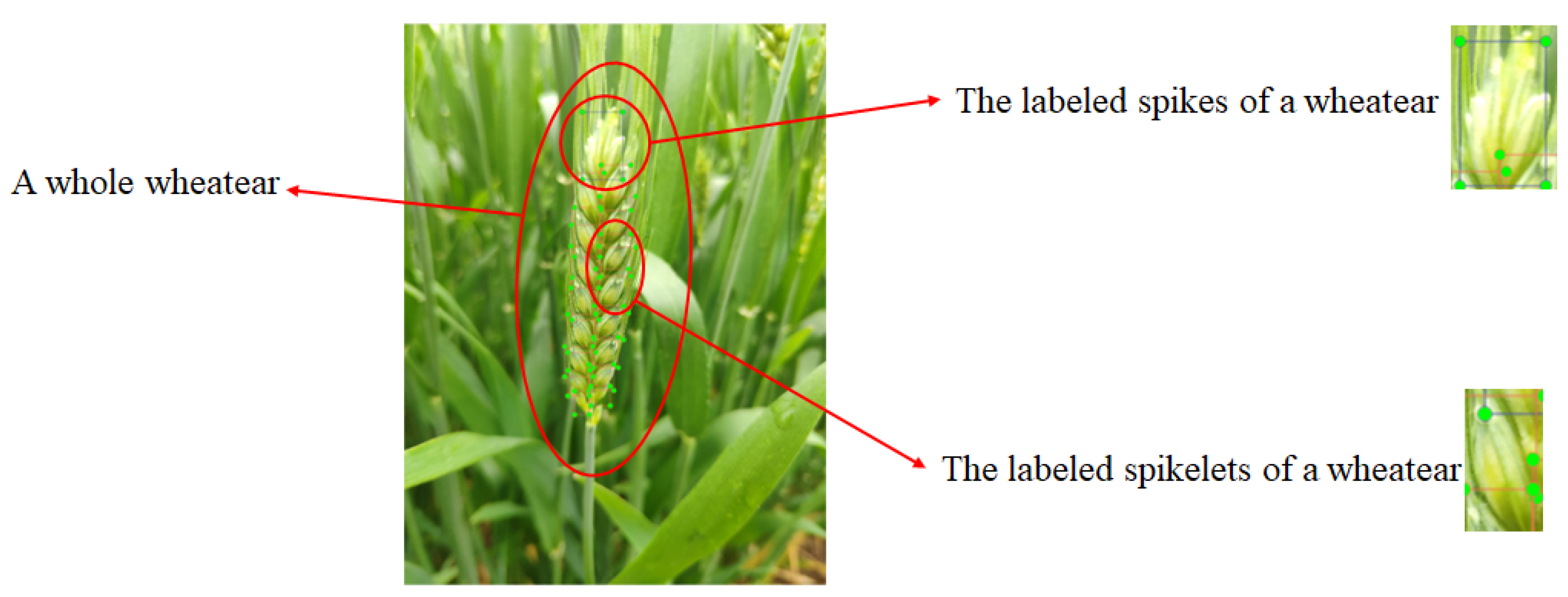 Agriculture 13 00872 g002