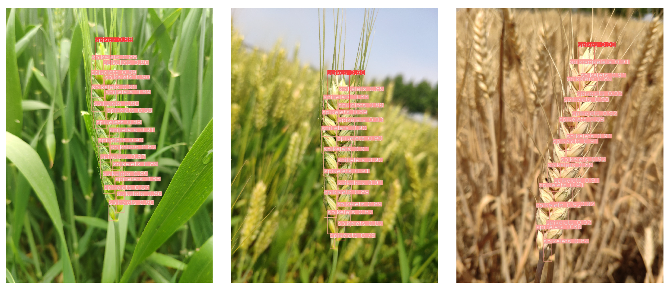 Agriculture 13 00872 g008