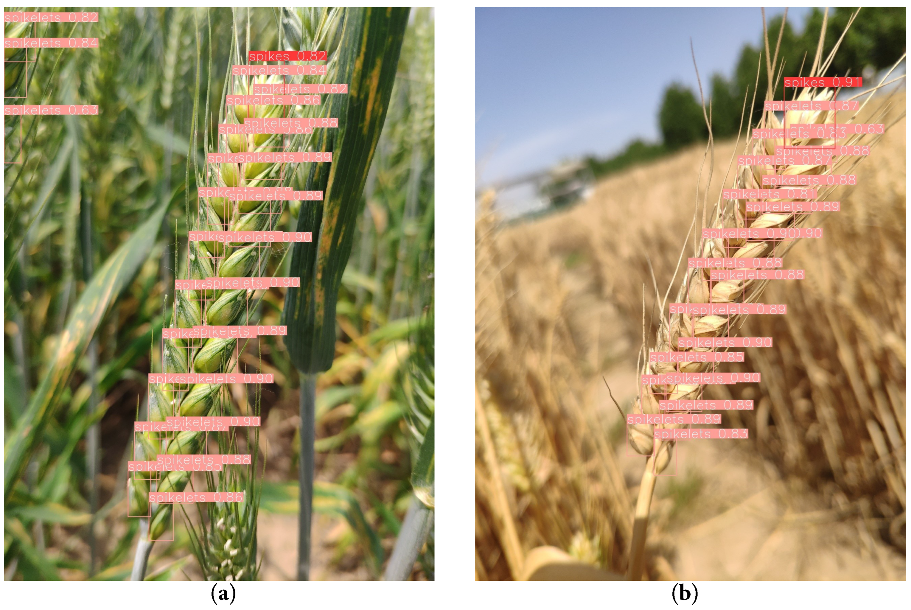 Agriculture 13 00872 g012