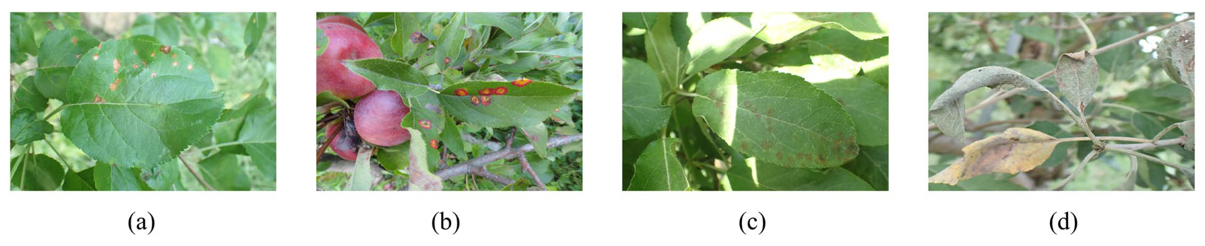 Agriculture 13 00878 g001