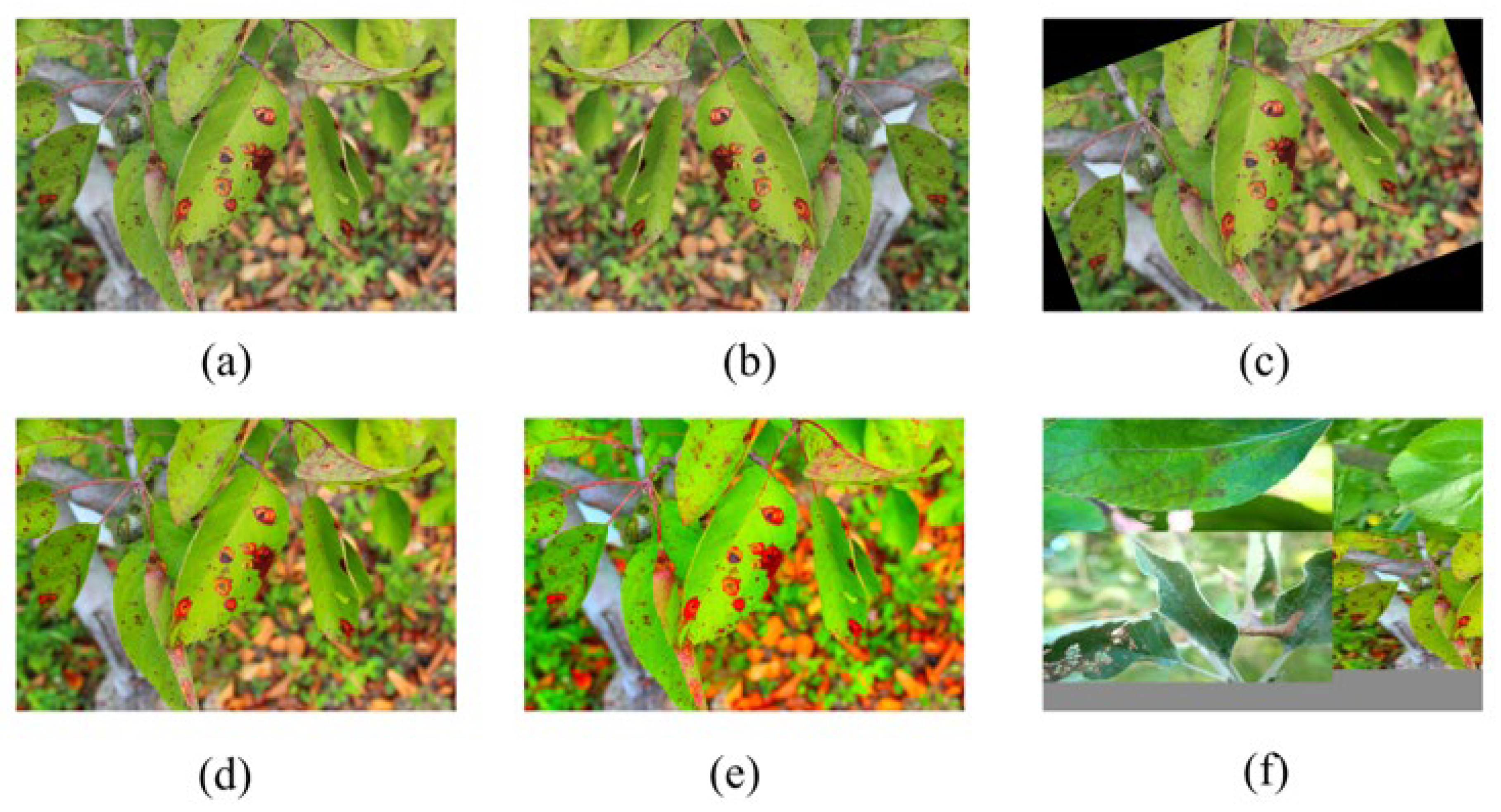 Agriculture 13 00878 g003