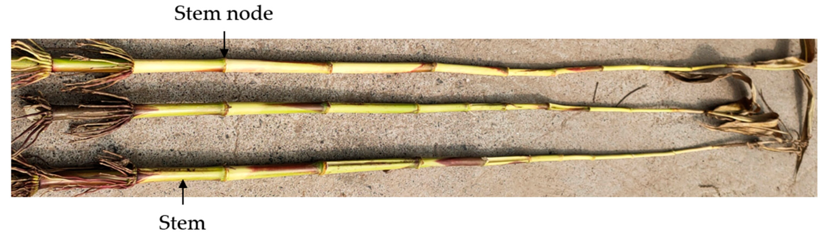 Agriculture 13 00880 g002