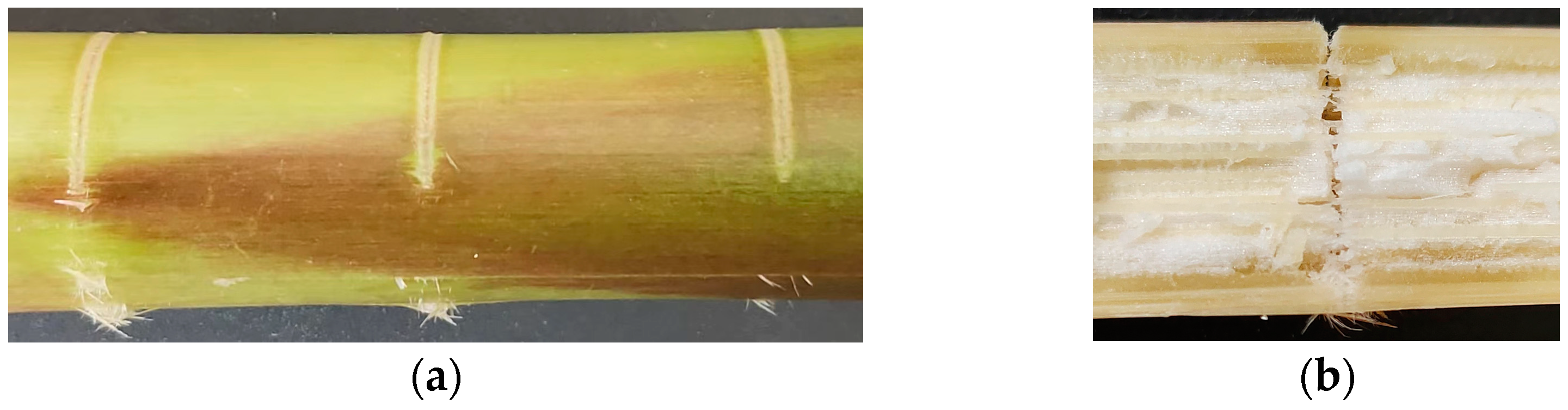 Agriculture 13 00880 g009