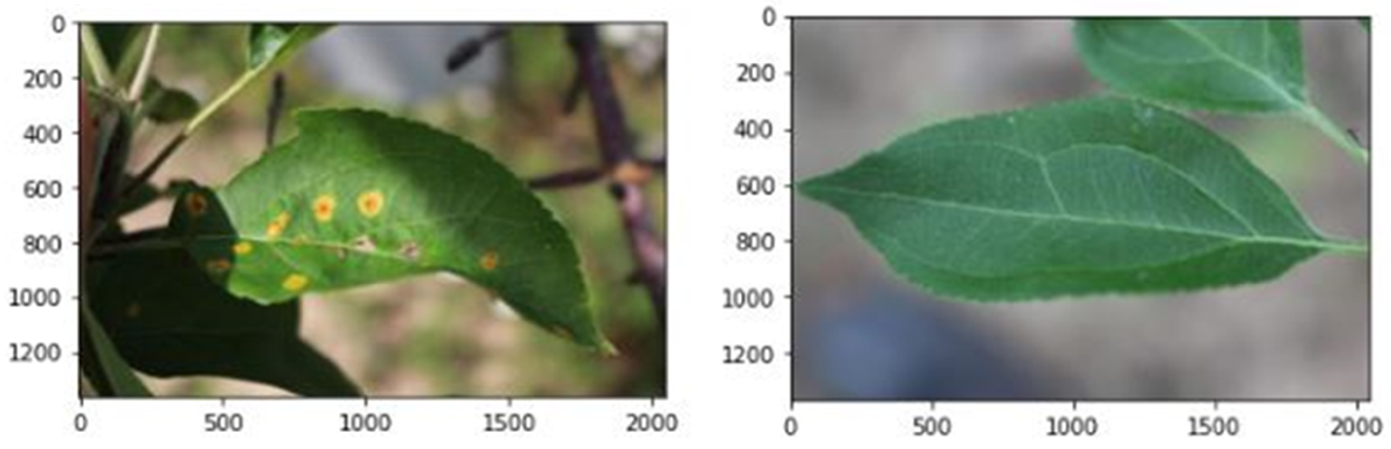 Agriculture 13 00889 g002 Agriculture 13 00889 g002