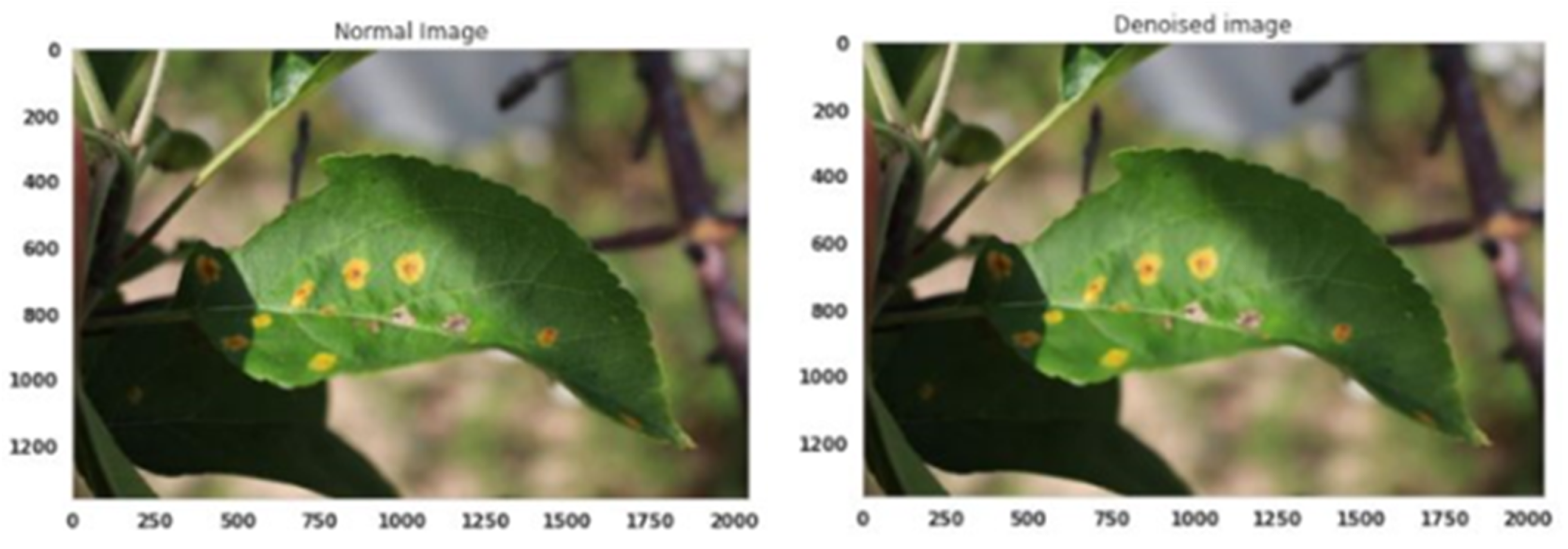 Agriculture 13 00889 g003 Agriculture 13 00889 g003