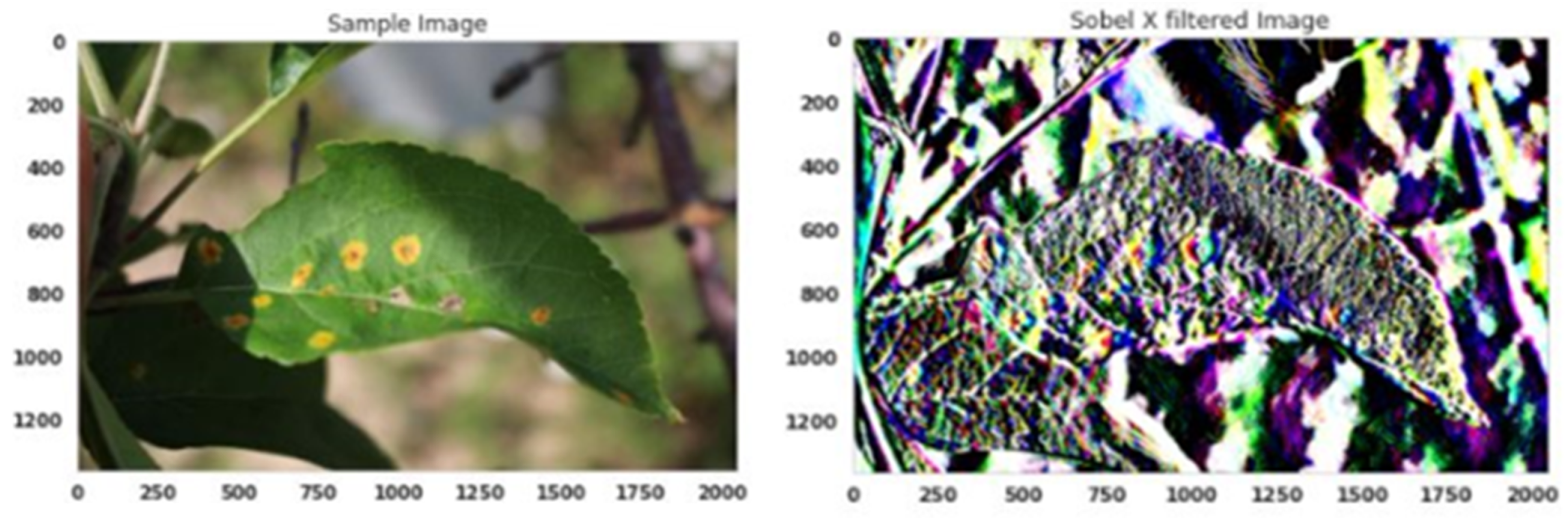 Agriculture 13 00889 g005 Agriculture 13 00889 g005