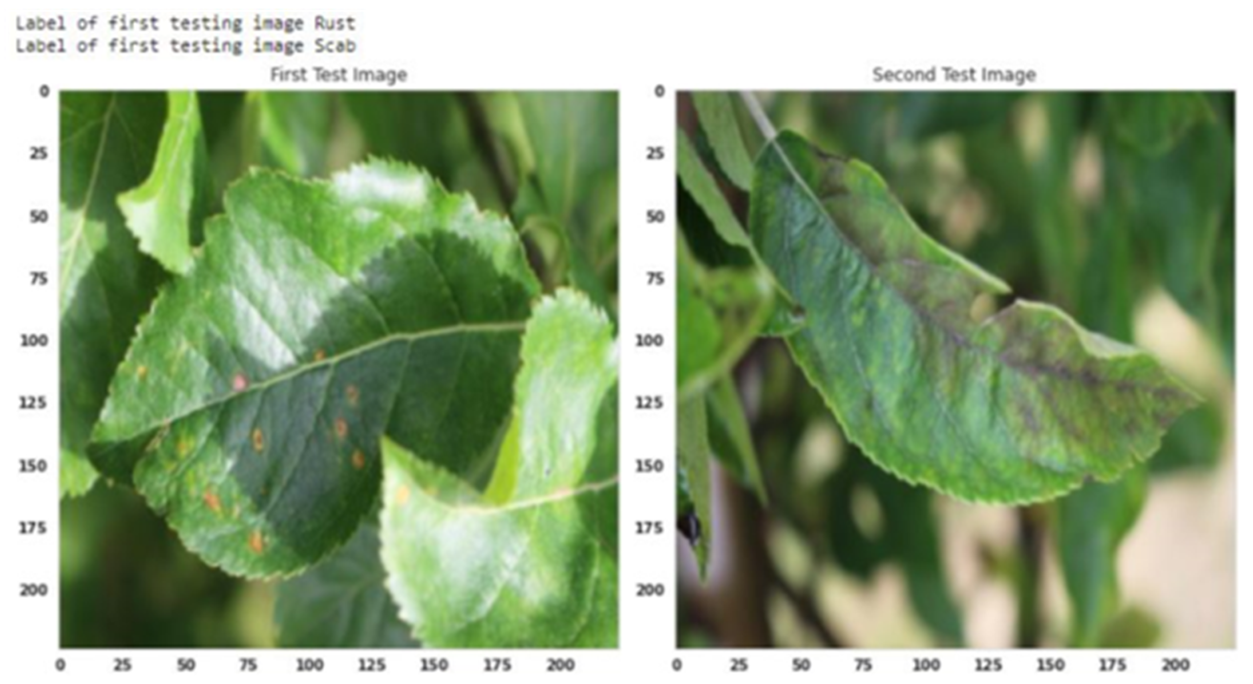 Agriculture 13 00889 g013 Agriculture 13 00889 g013