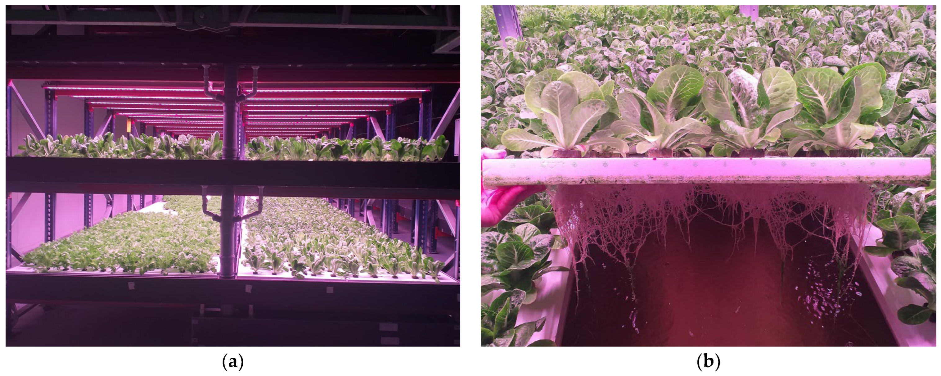 Agriculture 13 00897 g001