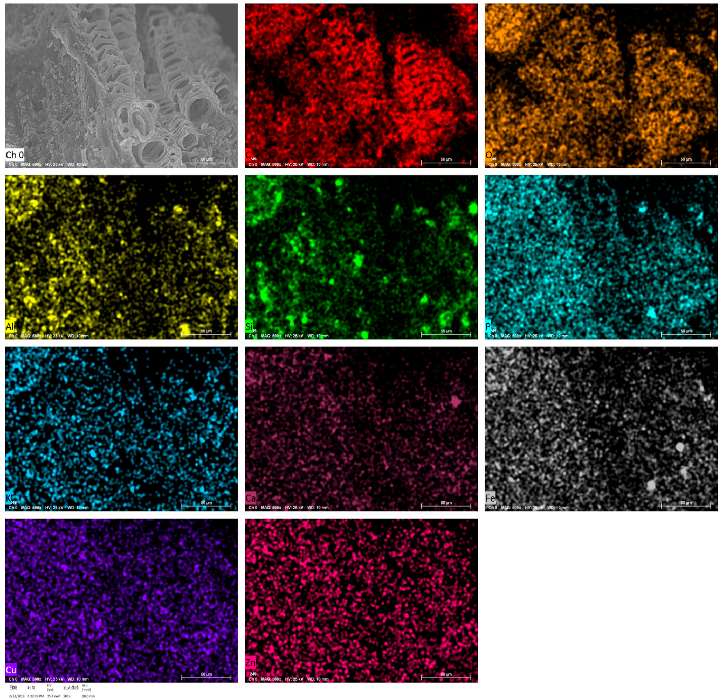 Agriculture 13 00915 g010