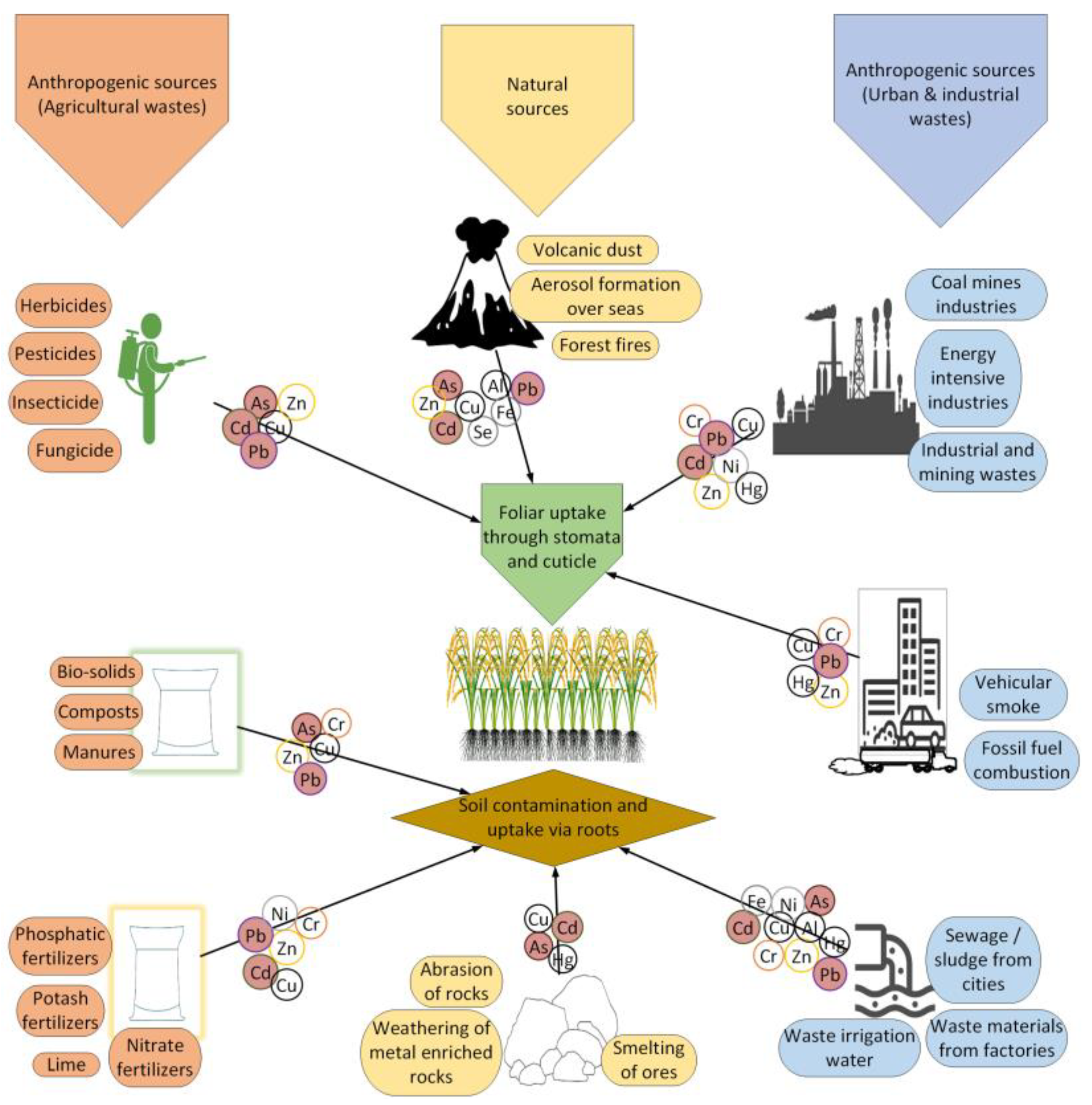 Agriculture 13 00944 g002